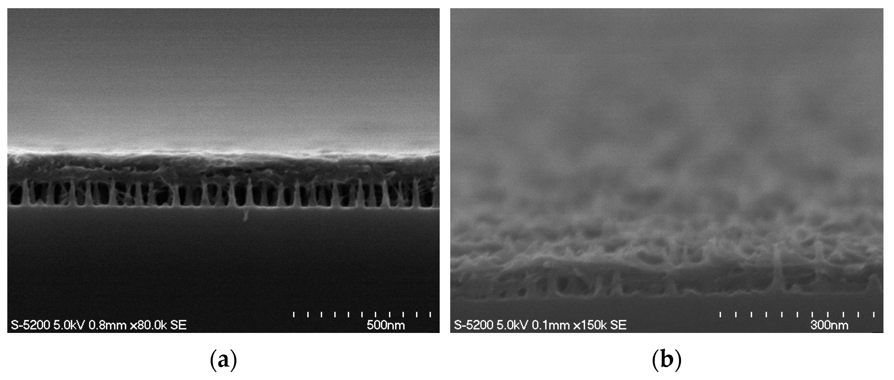 Energies 16 06900 g001