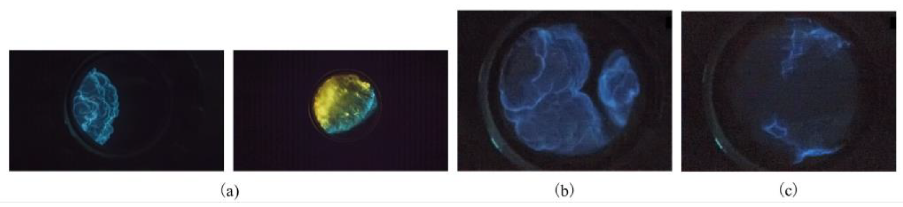 Energies 16 06944 g016