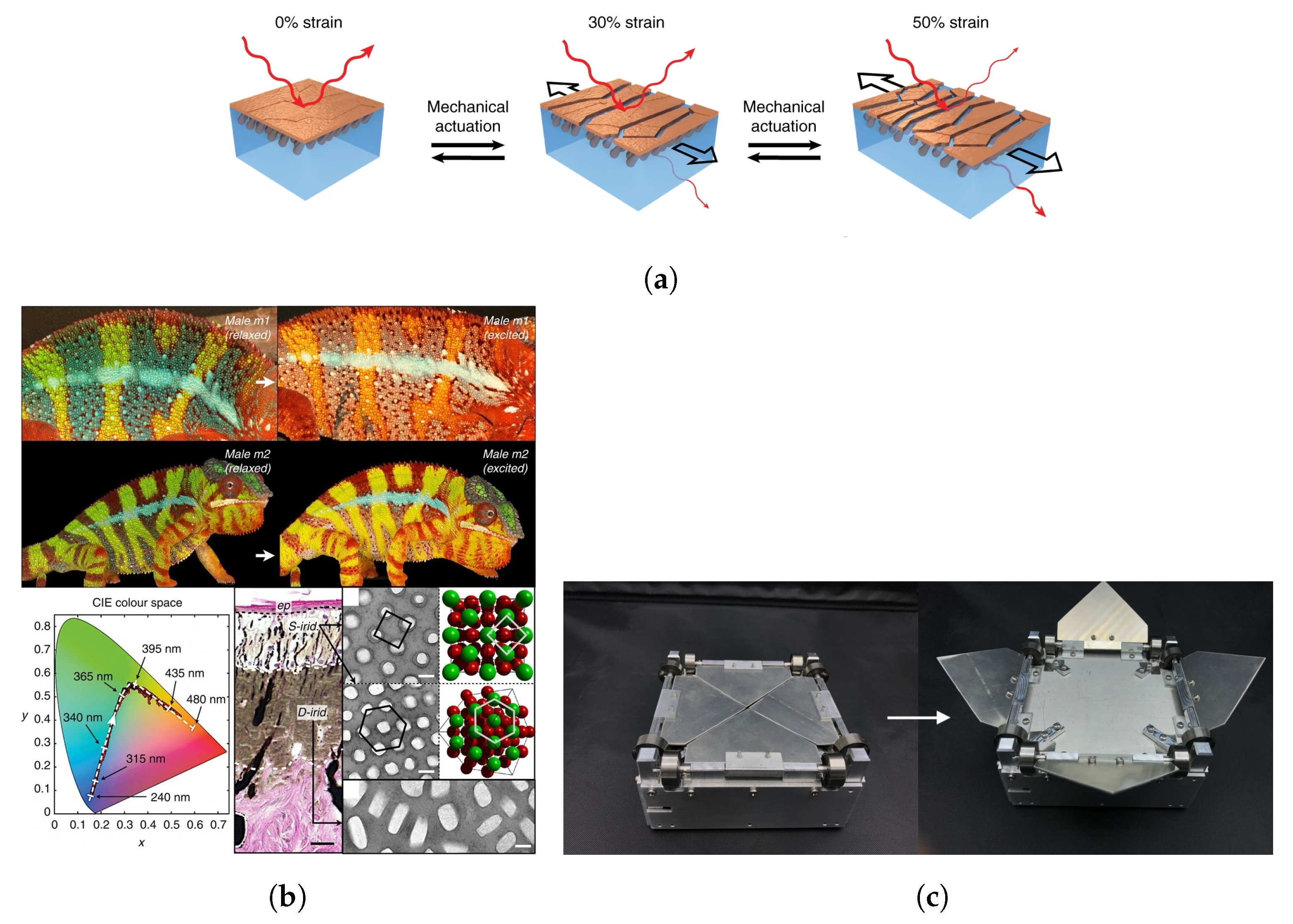 Energies 16 06978 g013