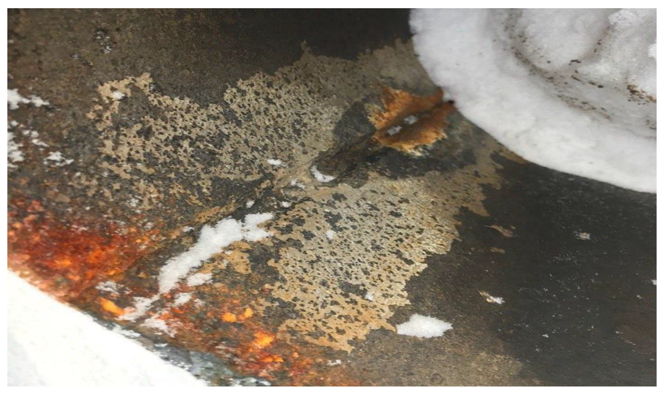 Energies 16 07067 g001