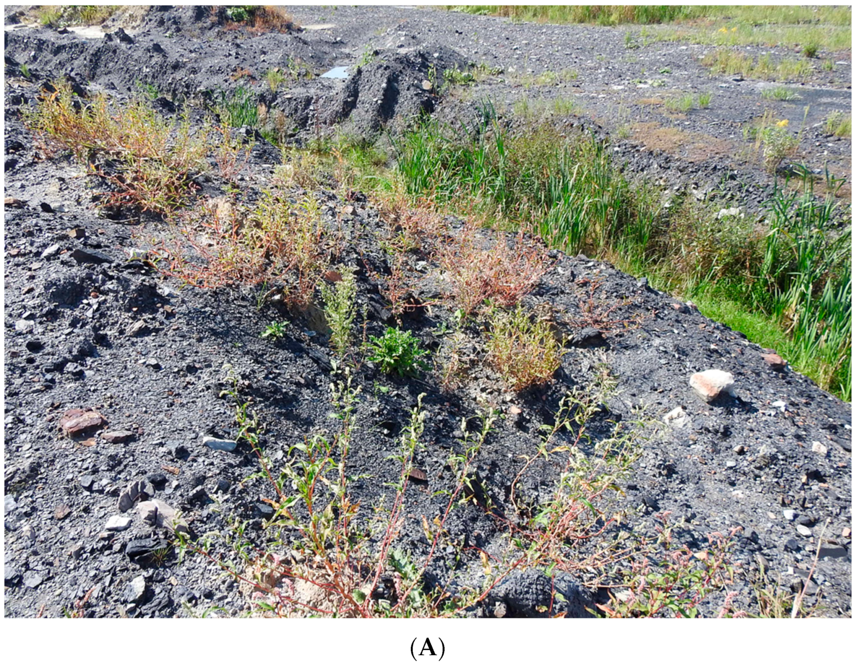 Energies 16 07083 g002a