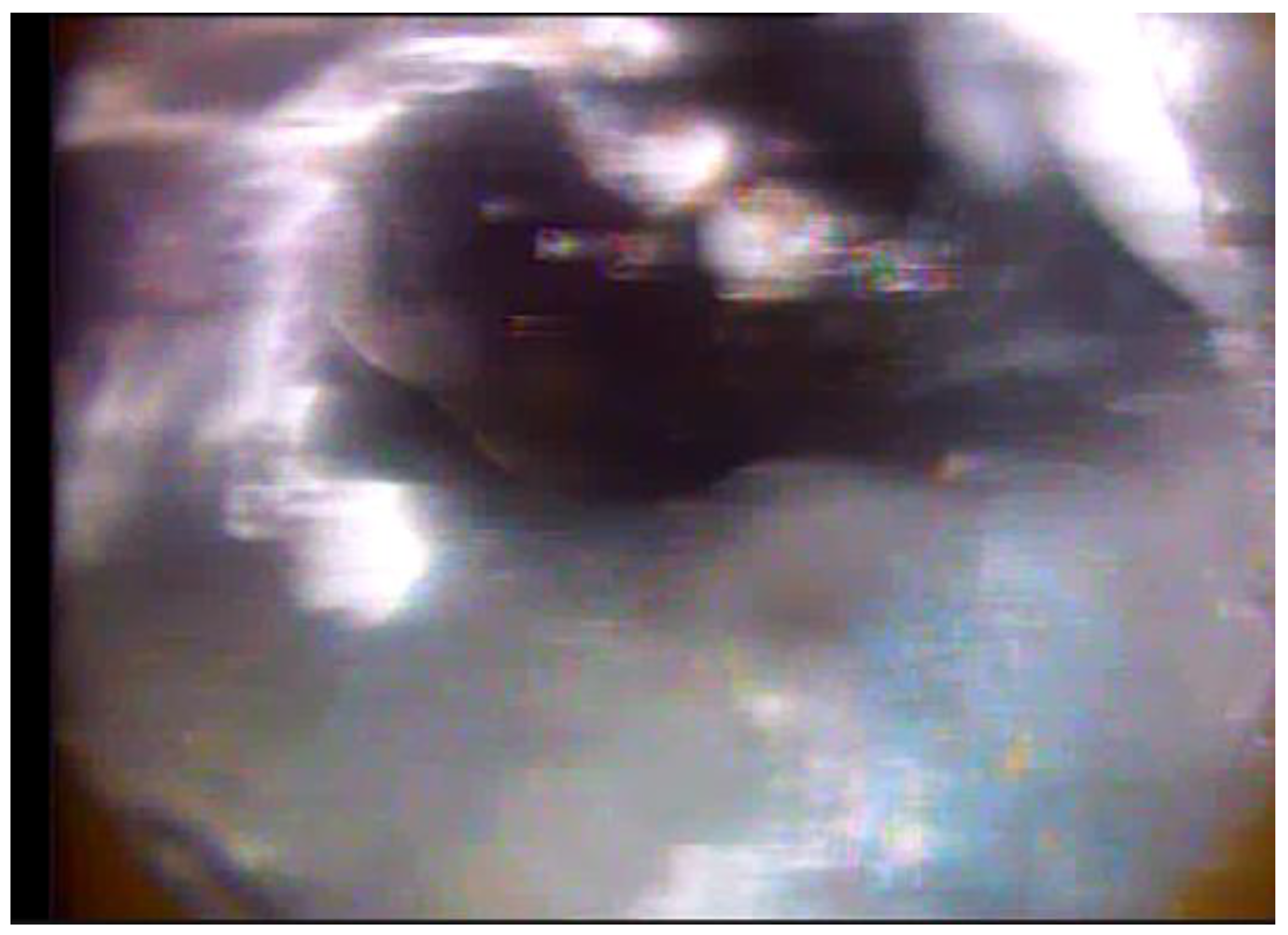 Energies 16 07116 g008