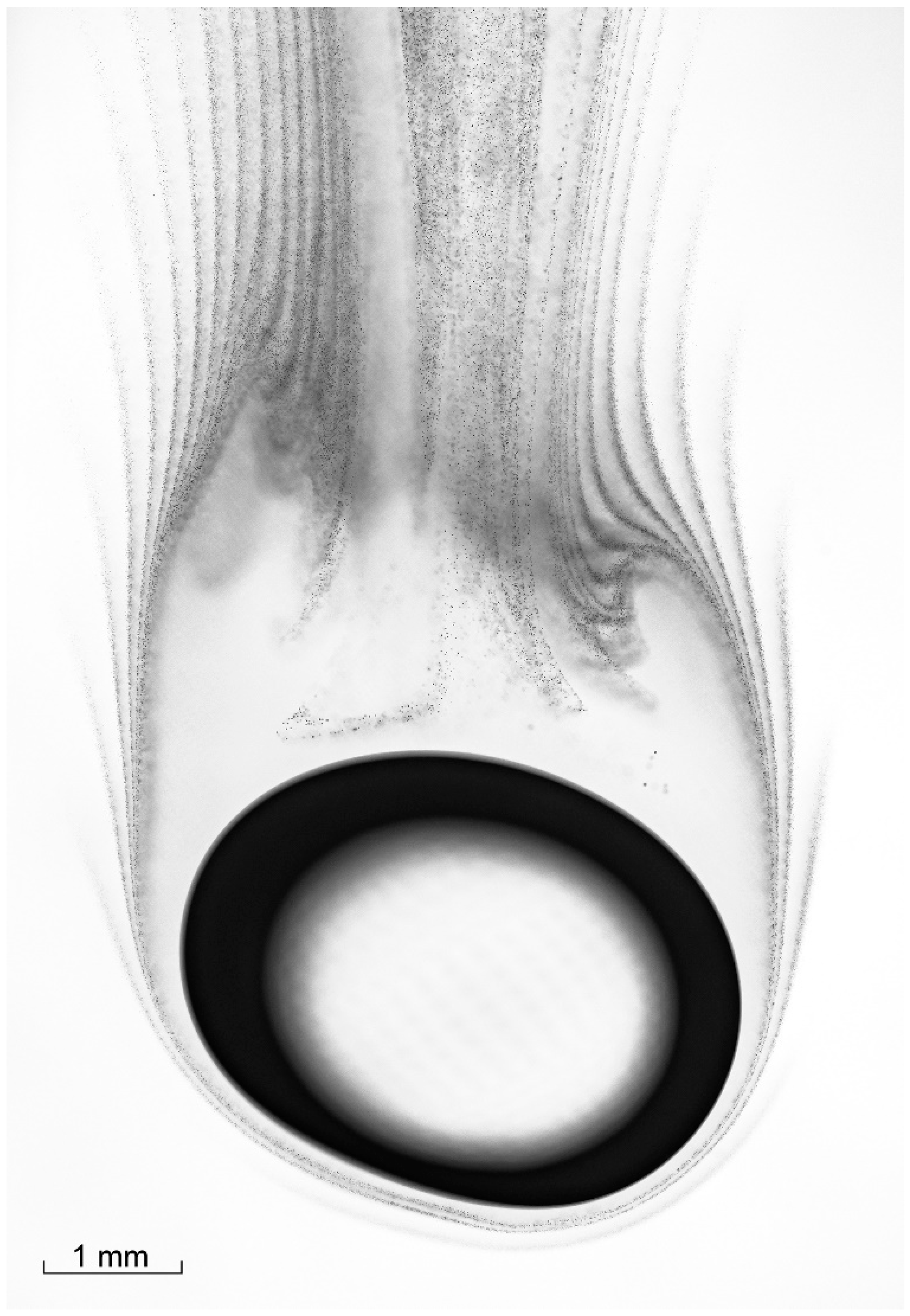 Energies 16 07491 g002