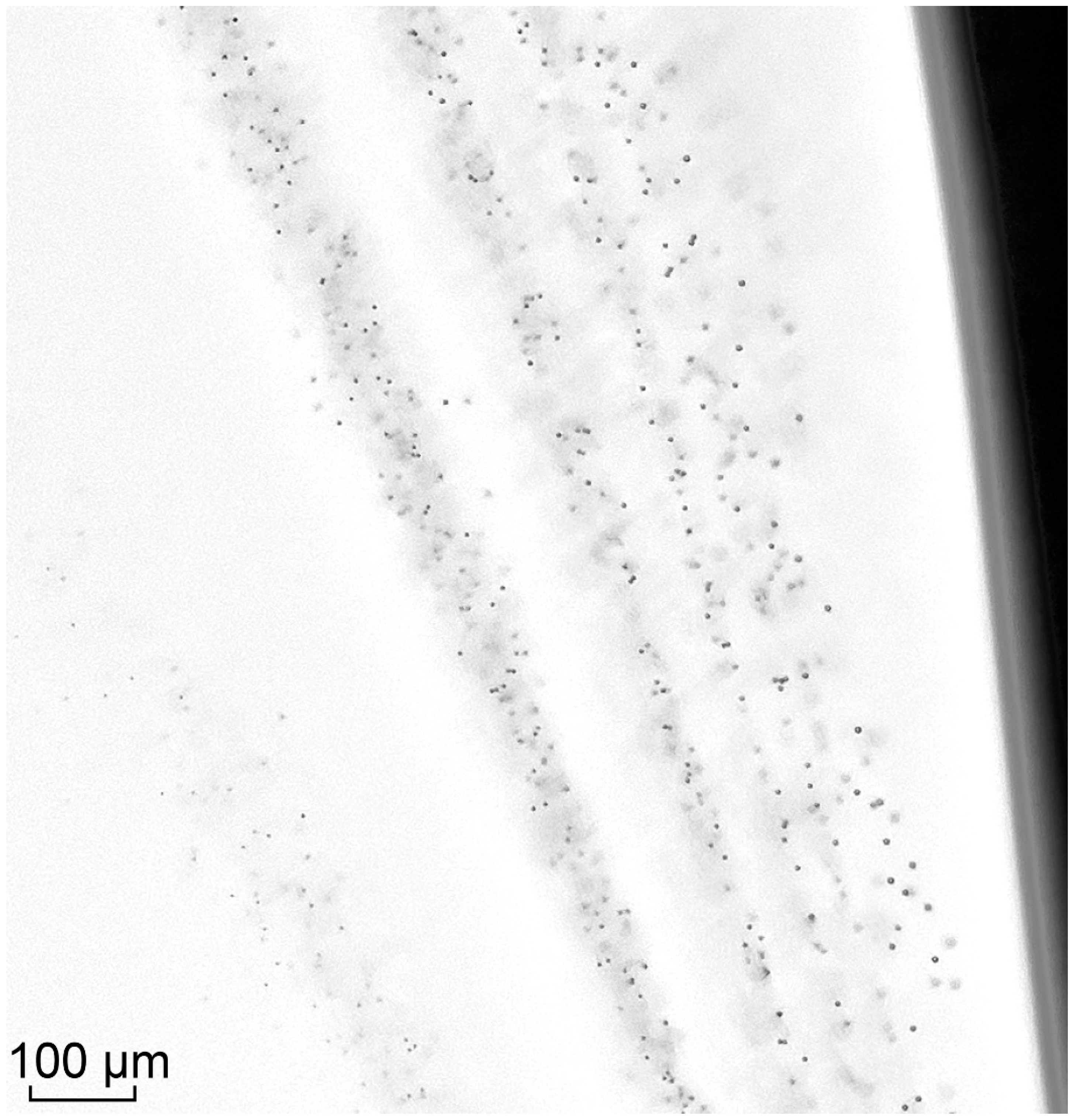 Energies 16 07491 g006