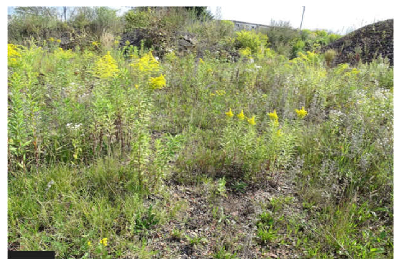 Energies 16 07513 g005