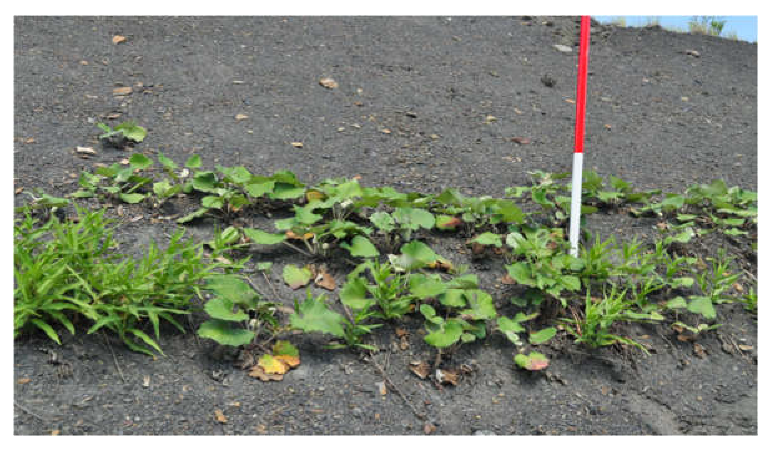 Energies 16 07513 g007