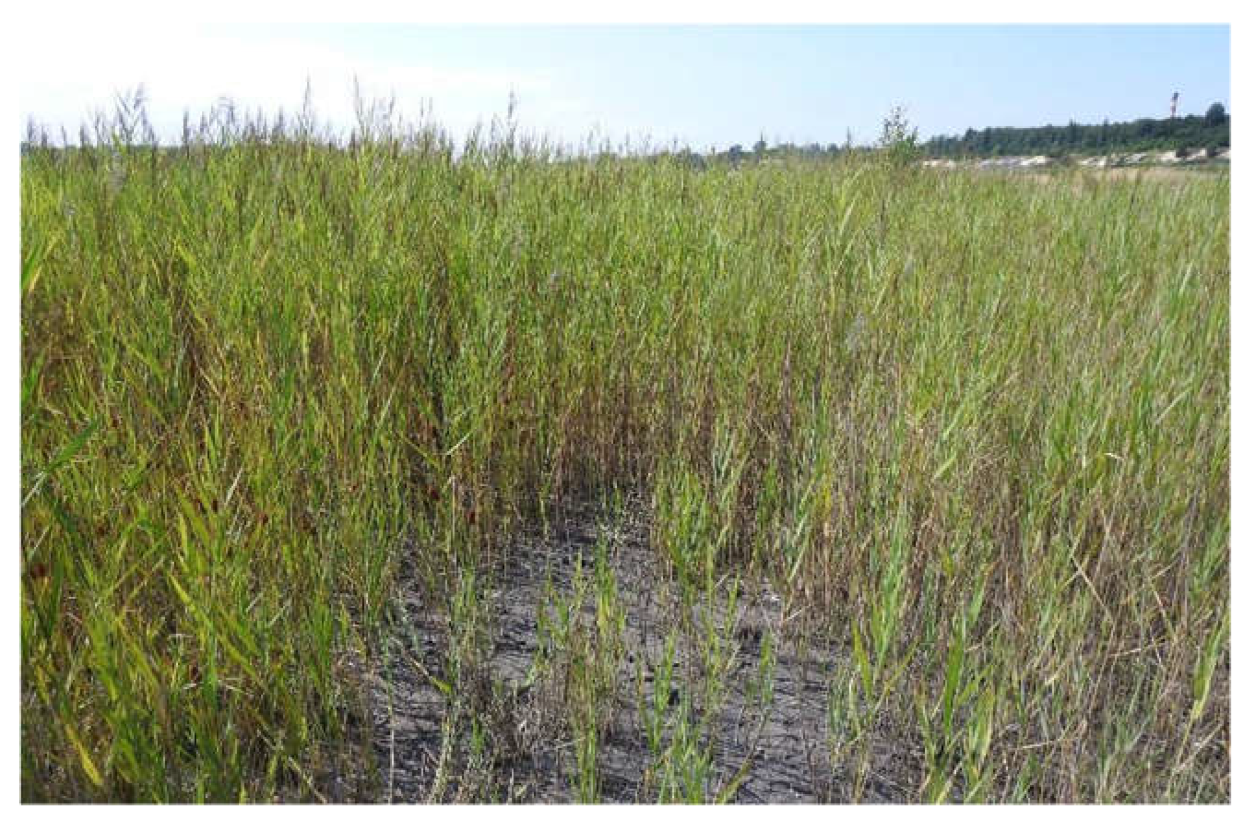 Energies 16 07513 g009