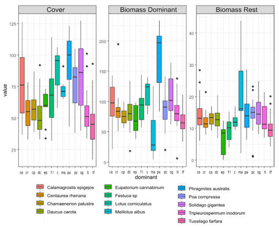 Biomass Amounts of Spontaneous Vegetation on Post-Coal Mine Novel