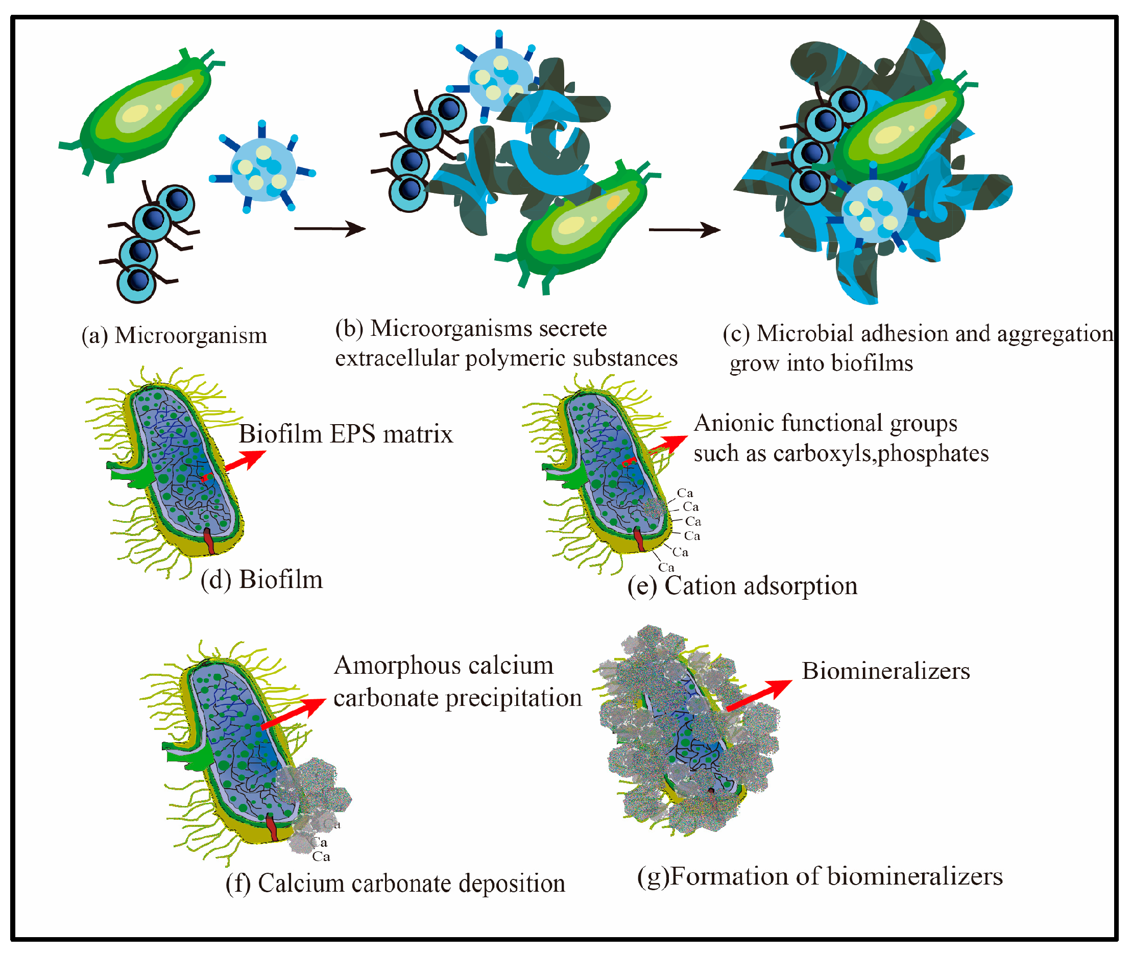Energies 16 07571 g008