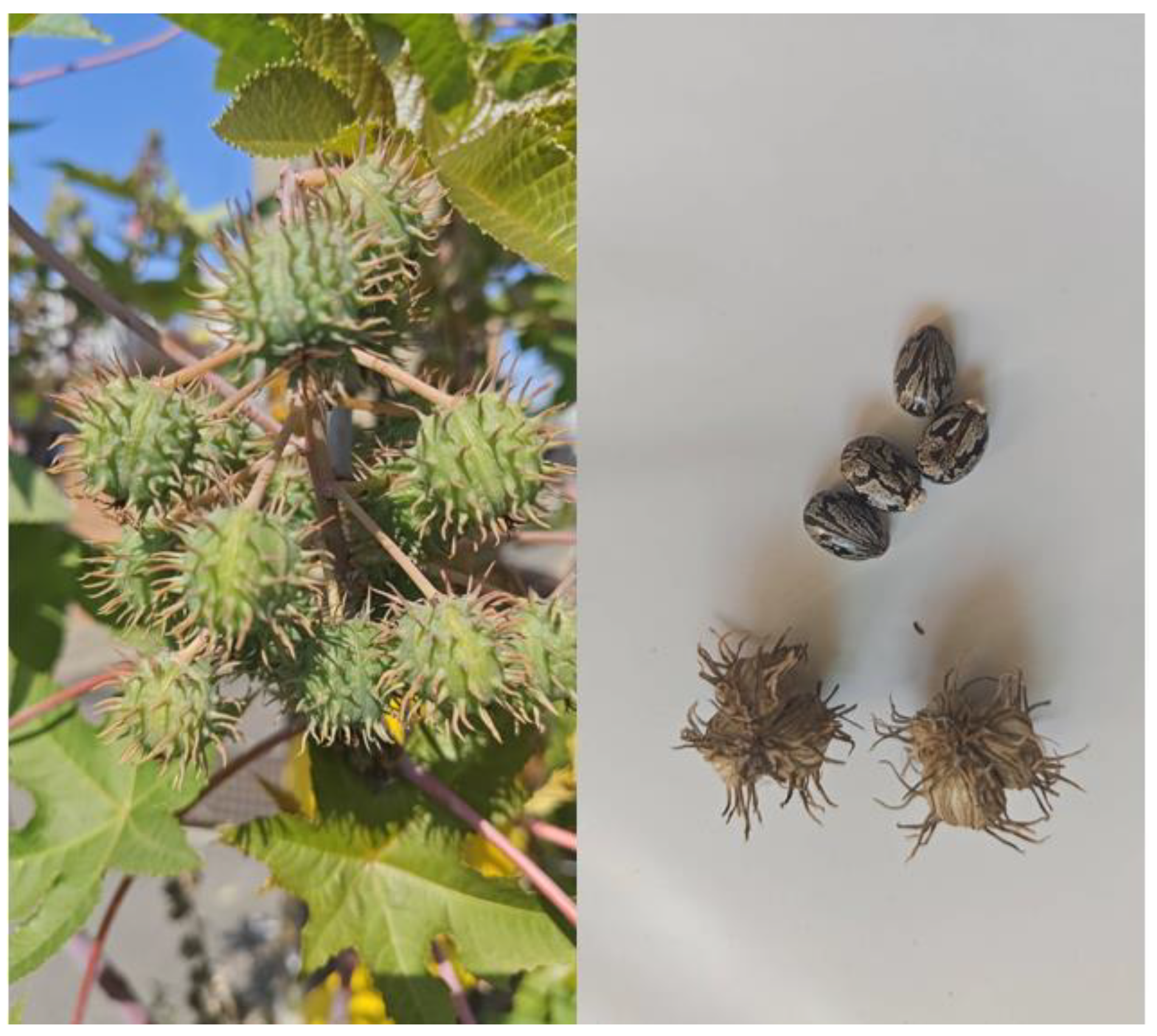 Energies 16 07665 g002