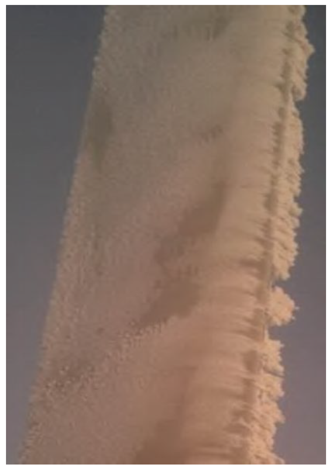 Energies 16 07681 g003