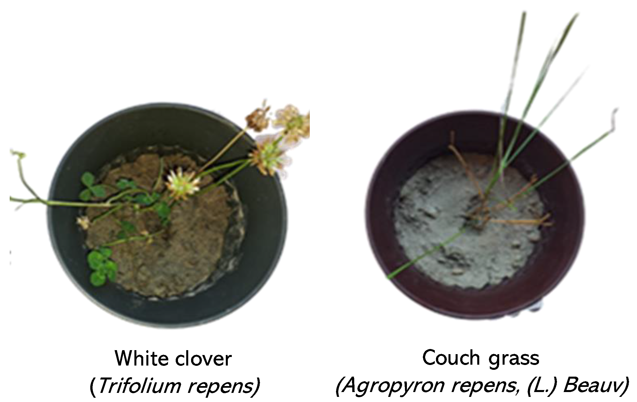 Energies 16 07774 g007