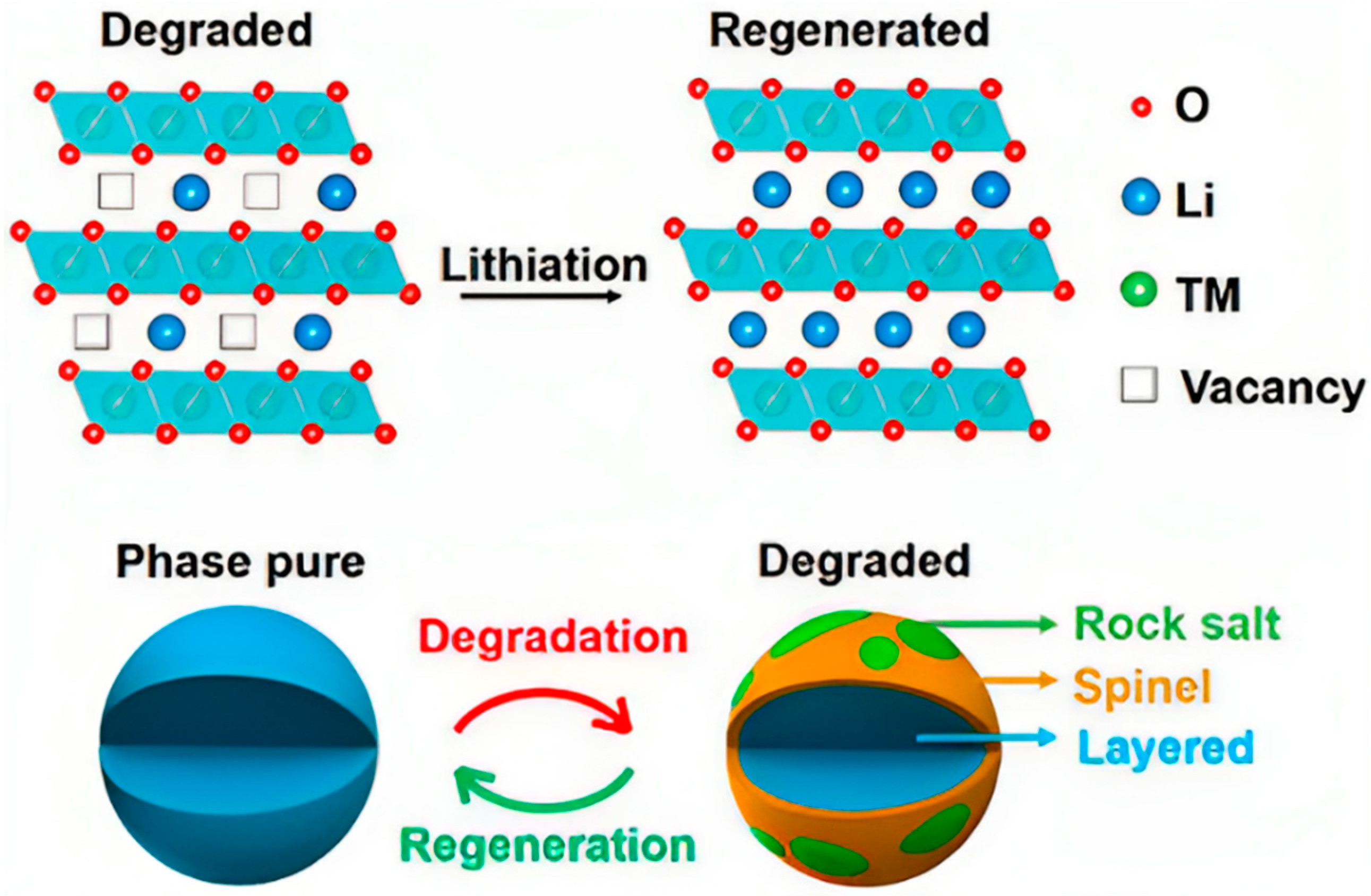 Energies 16 07869 g008