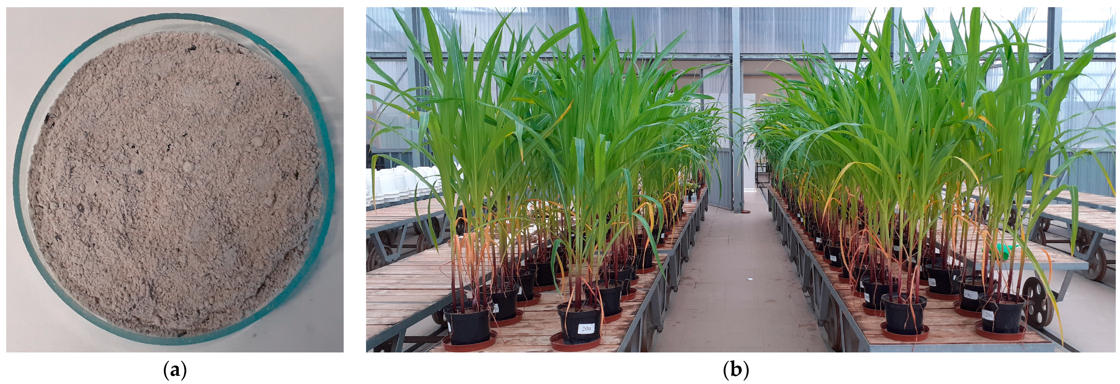 Energies 16 08037 g001