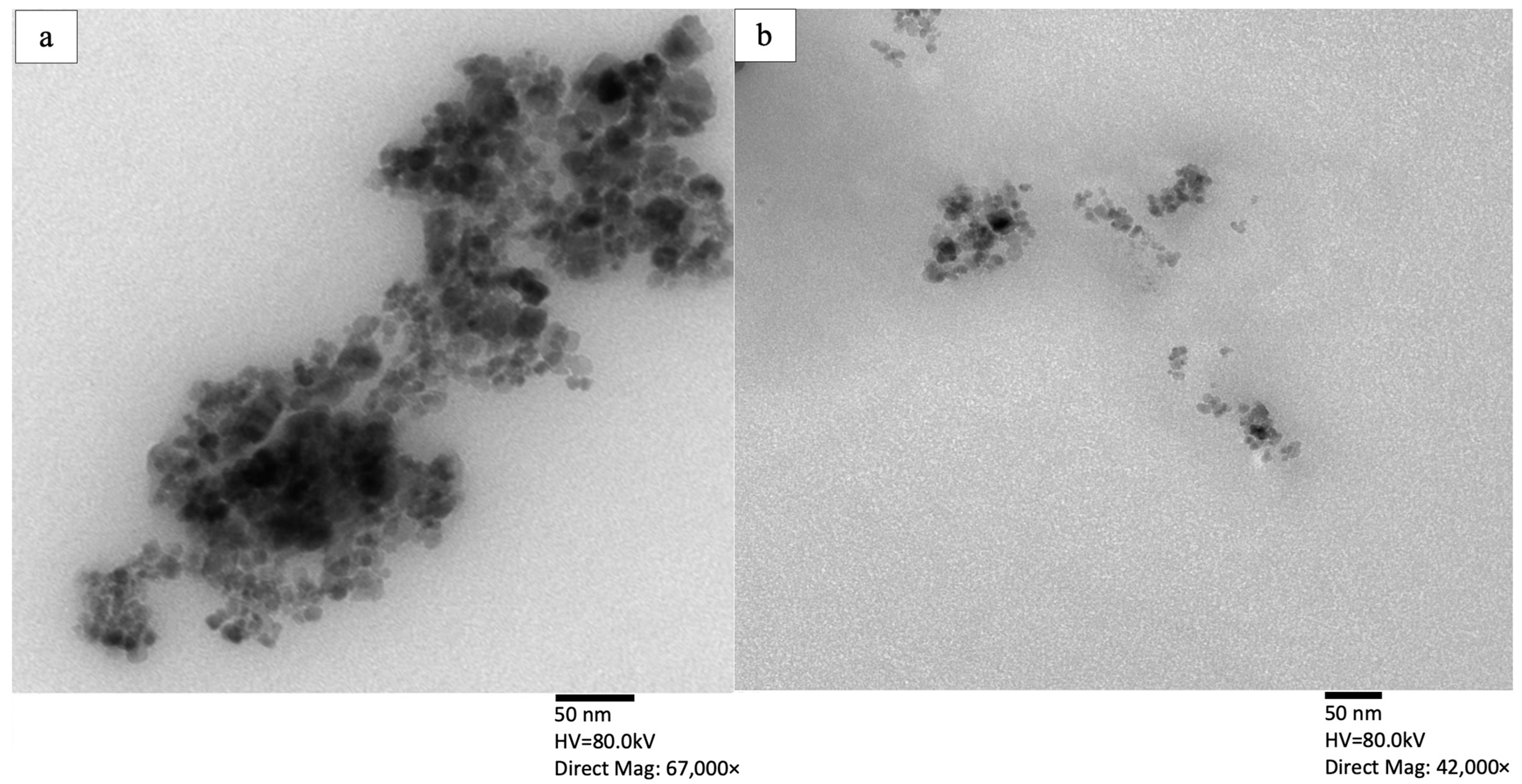 Energies 16 08073 g002