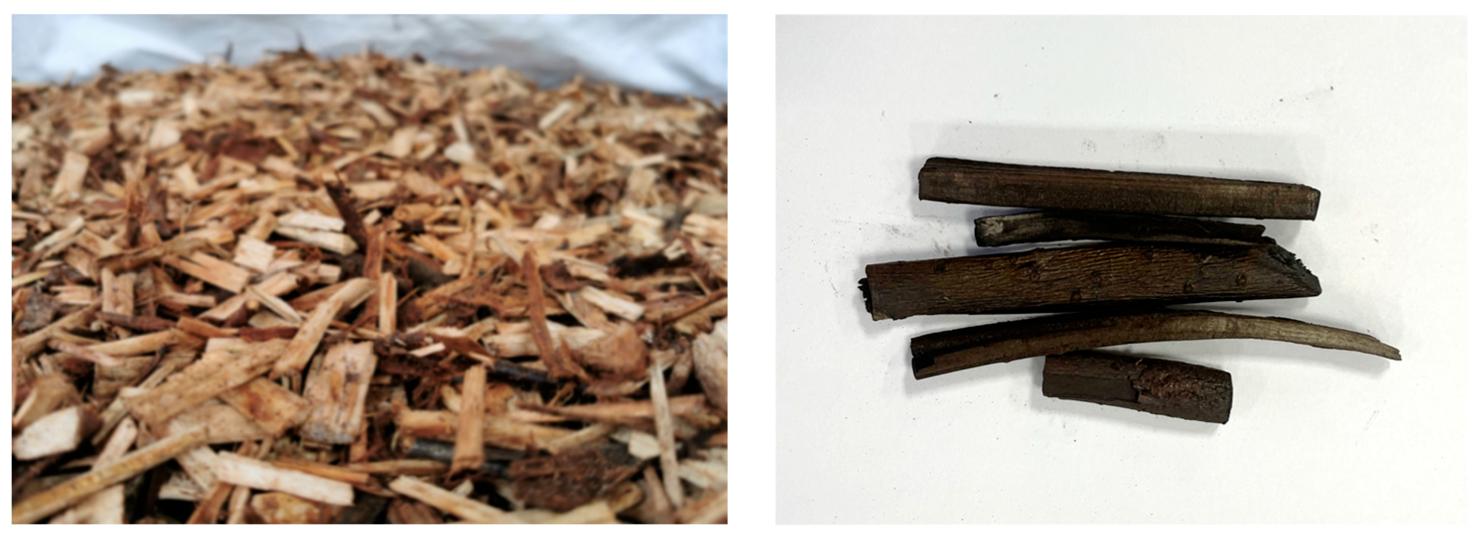 Energies 16 08083 g006