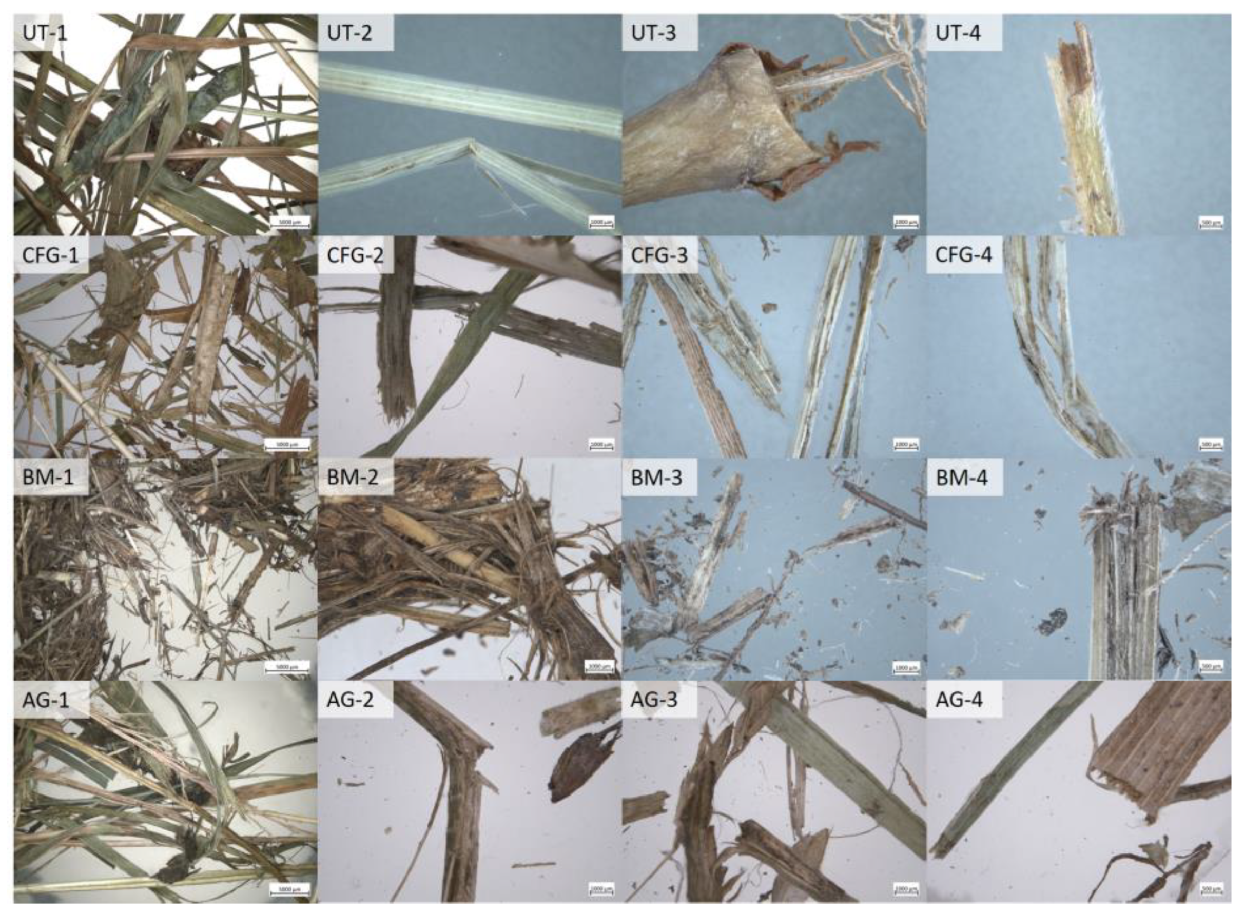 Energies 16 08091 g006