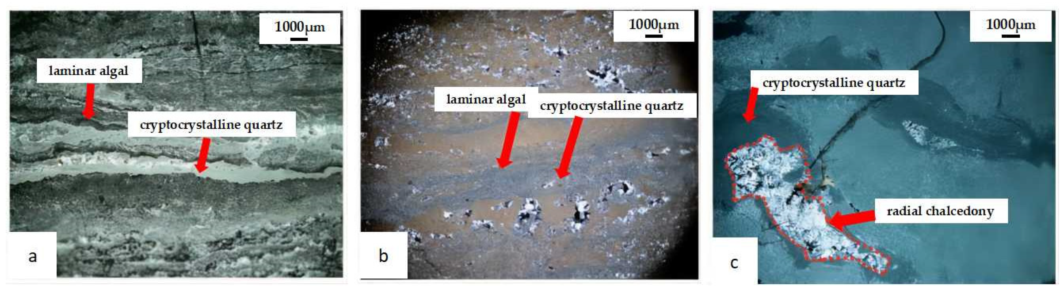 Energies 17 00135 g001