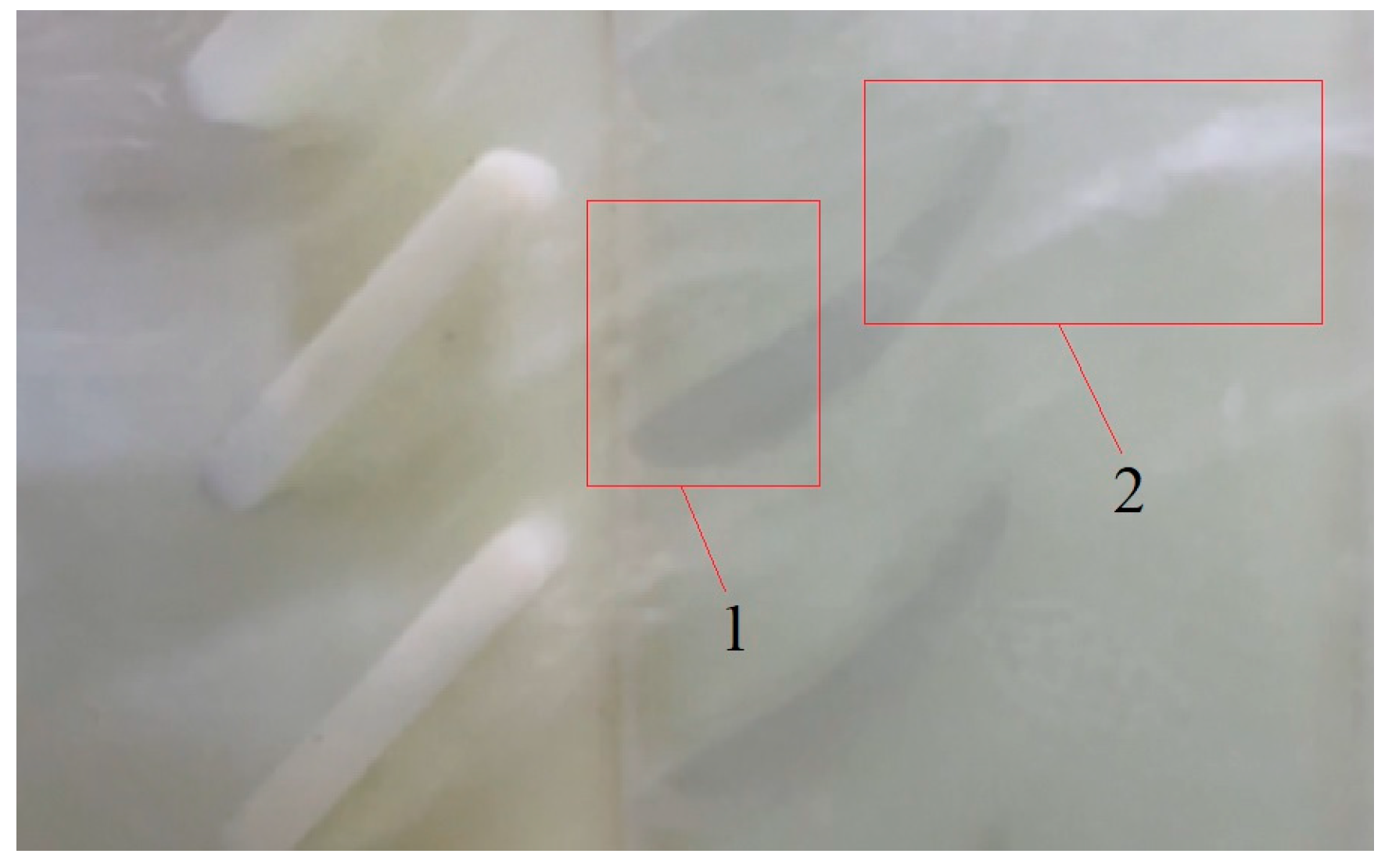 Energies 17 00162 g022