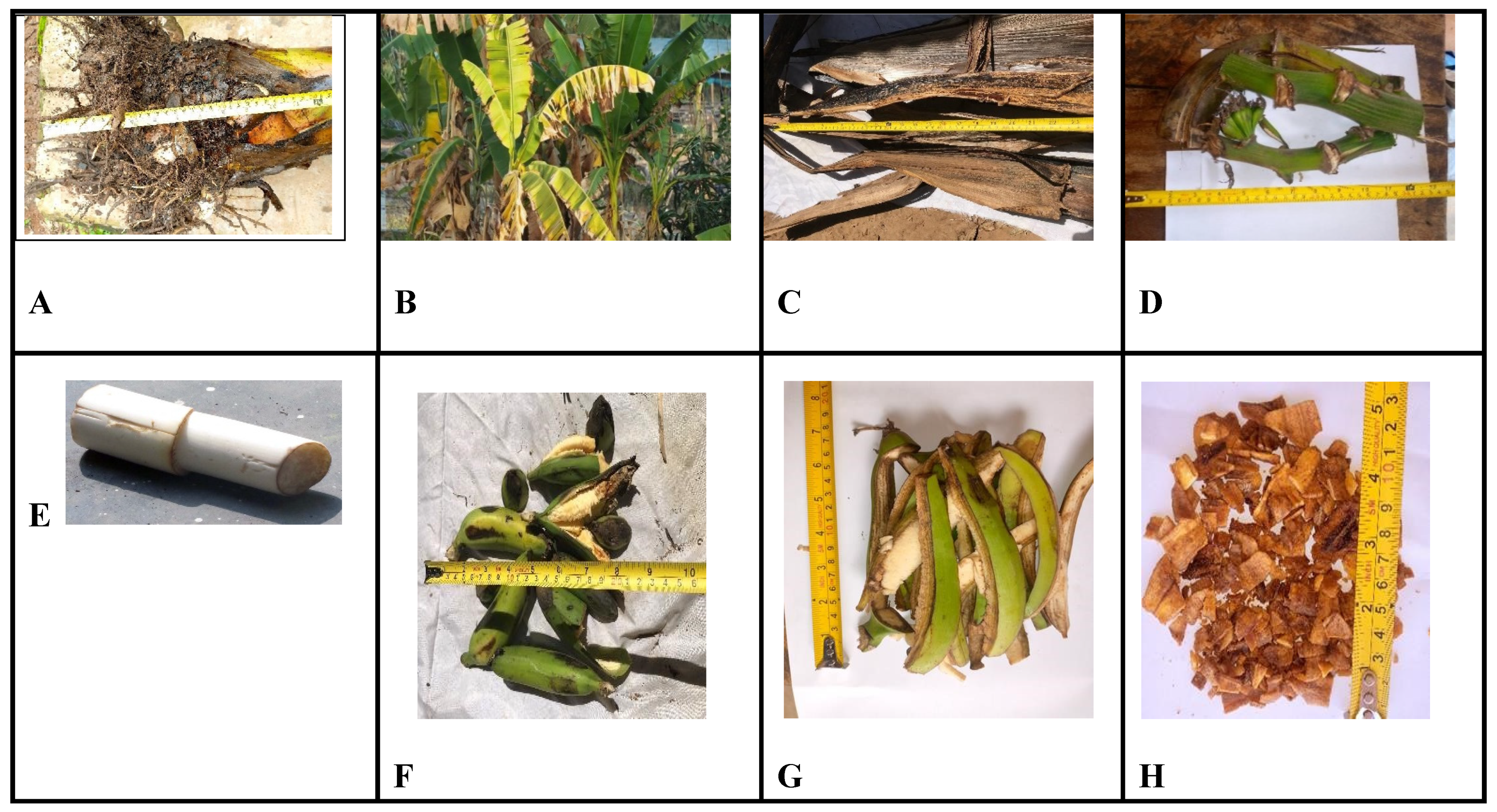 Energies 17 00164 g004