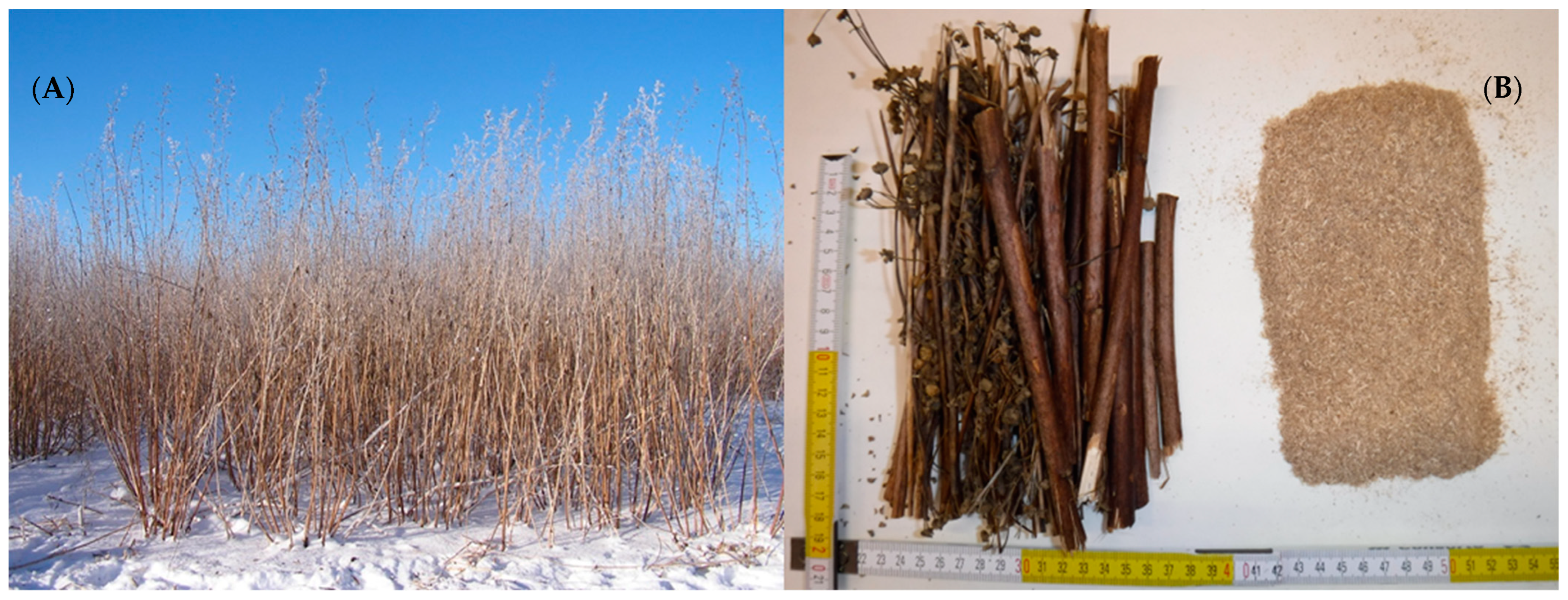 Energies 17 00218 g001