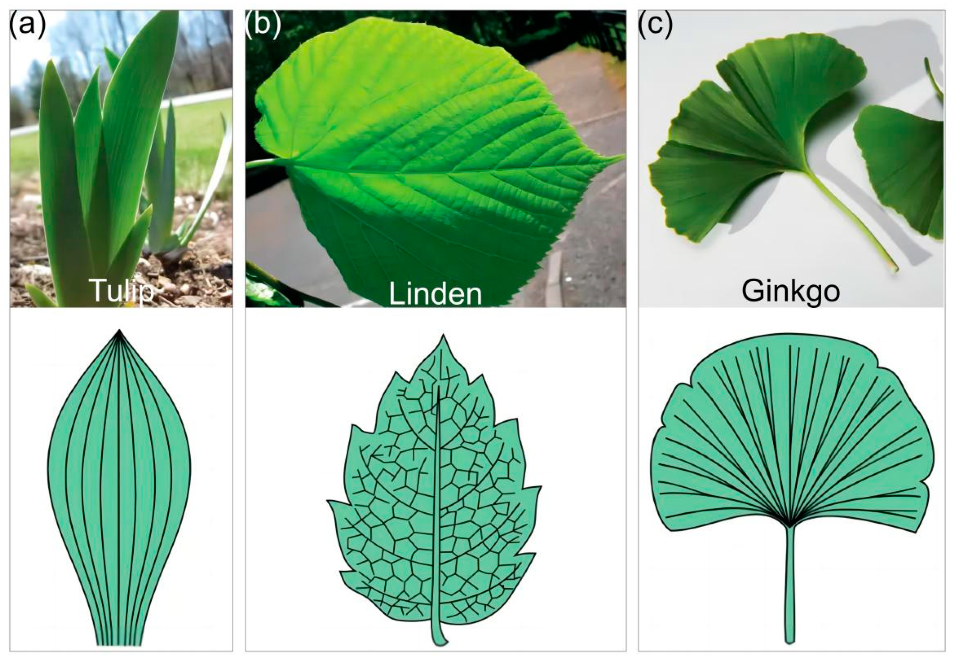 Energies 17 00311 g001
