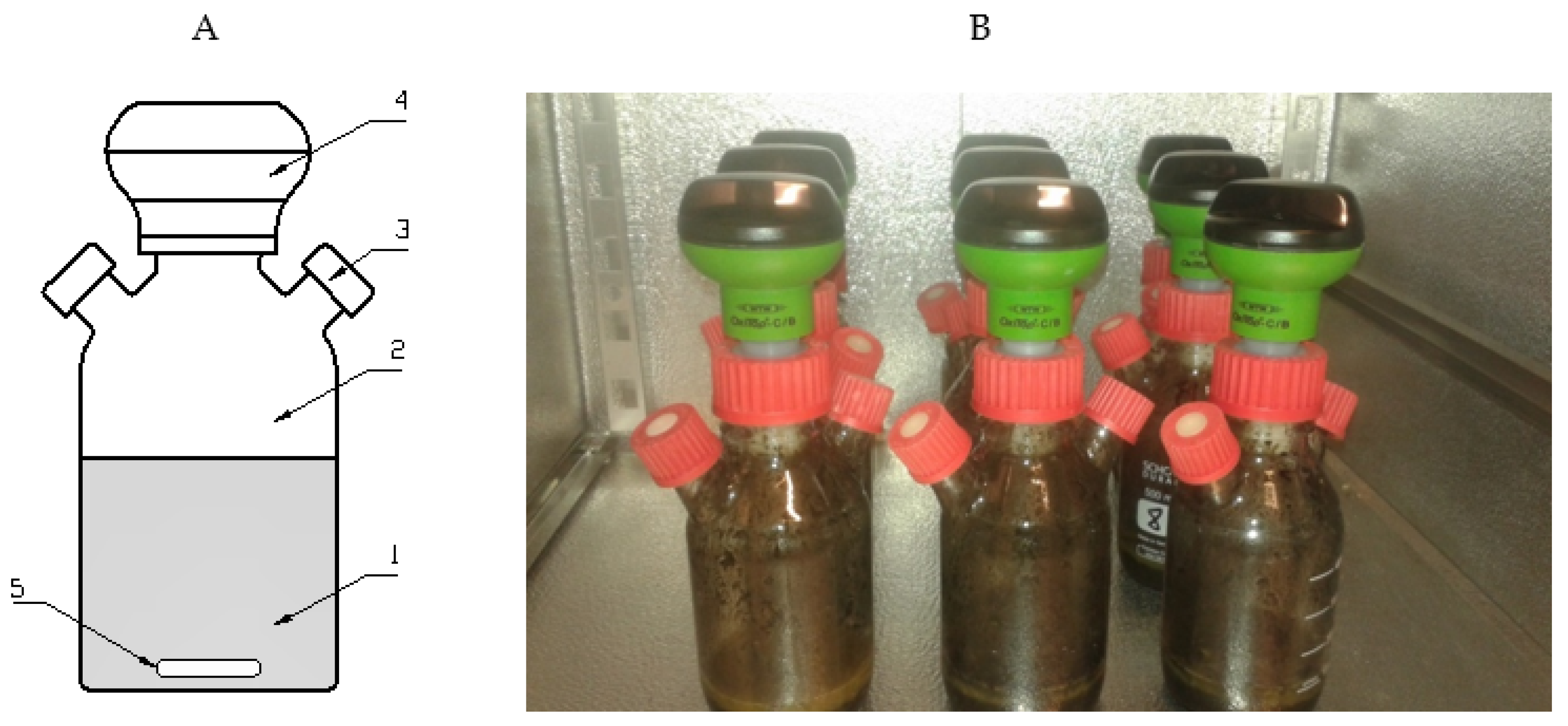 Energies 17 00335 g004