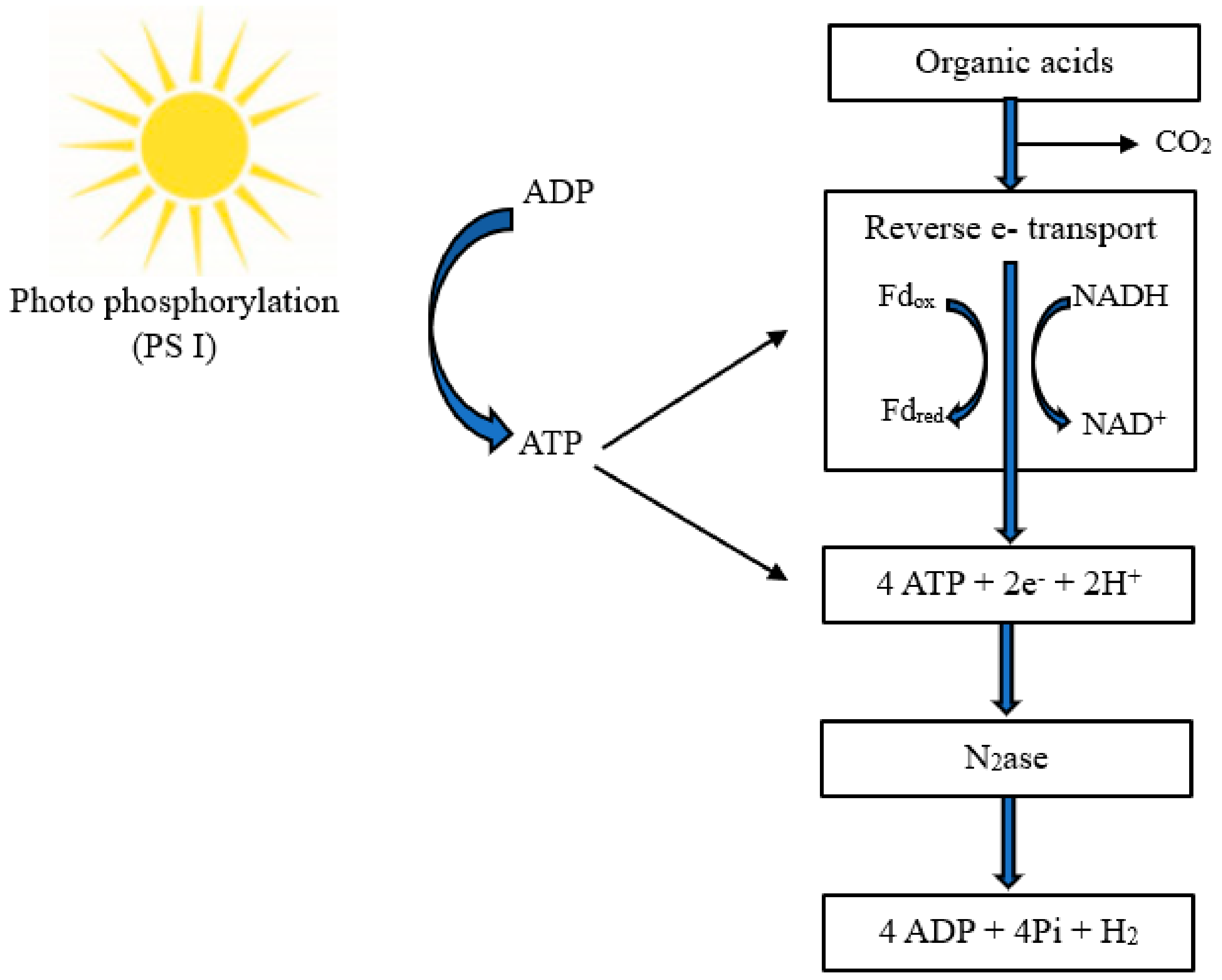 Energies 17 00338 g006