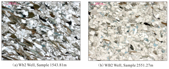 Comprehensive Study on Microscopic Pore Structure and