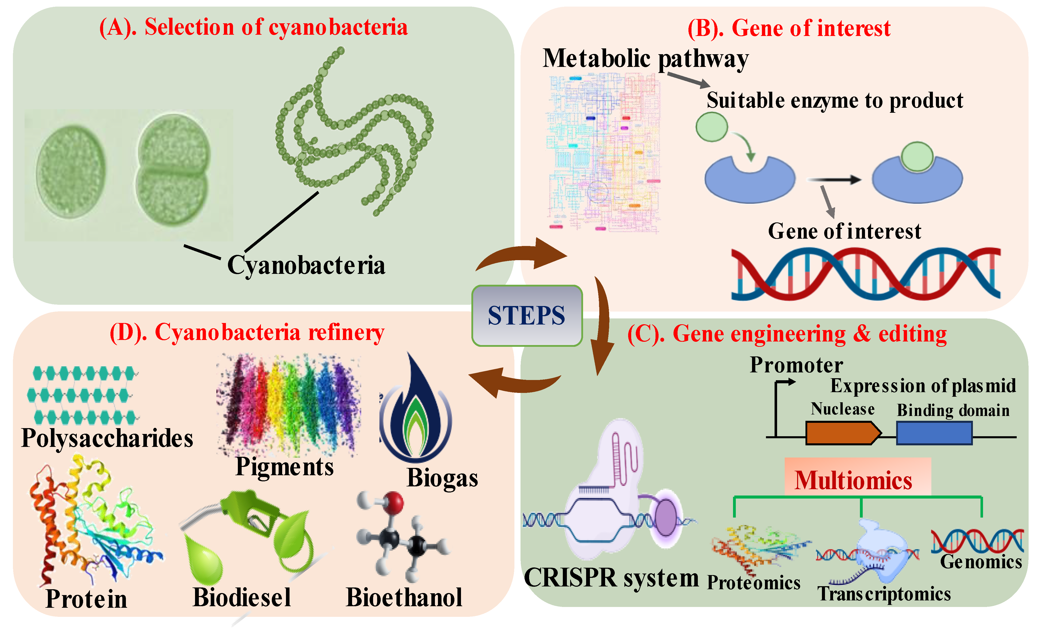 Energies 17 00408 g001