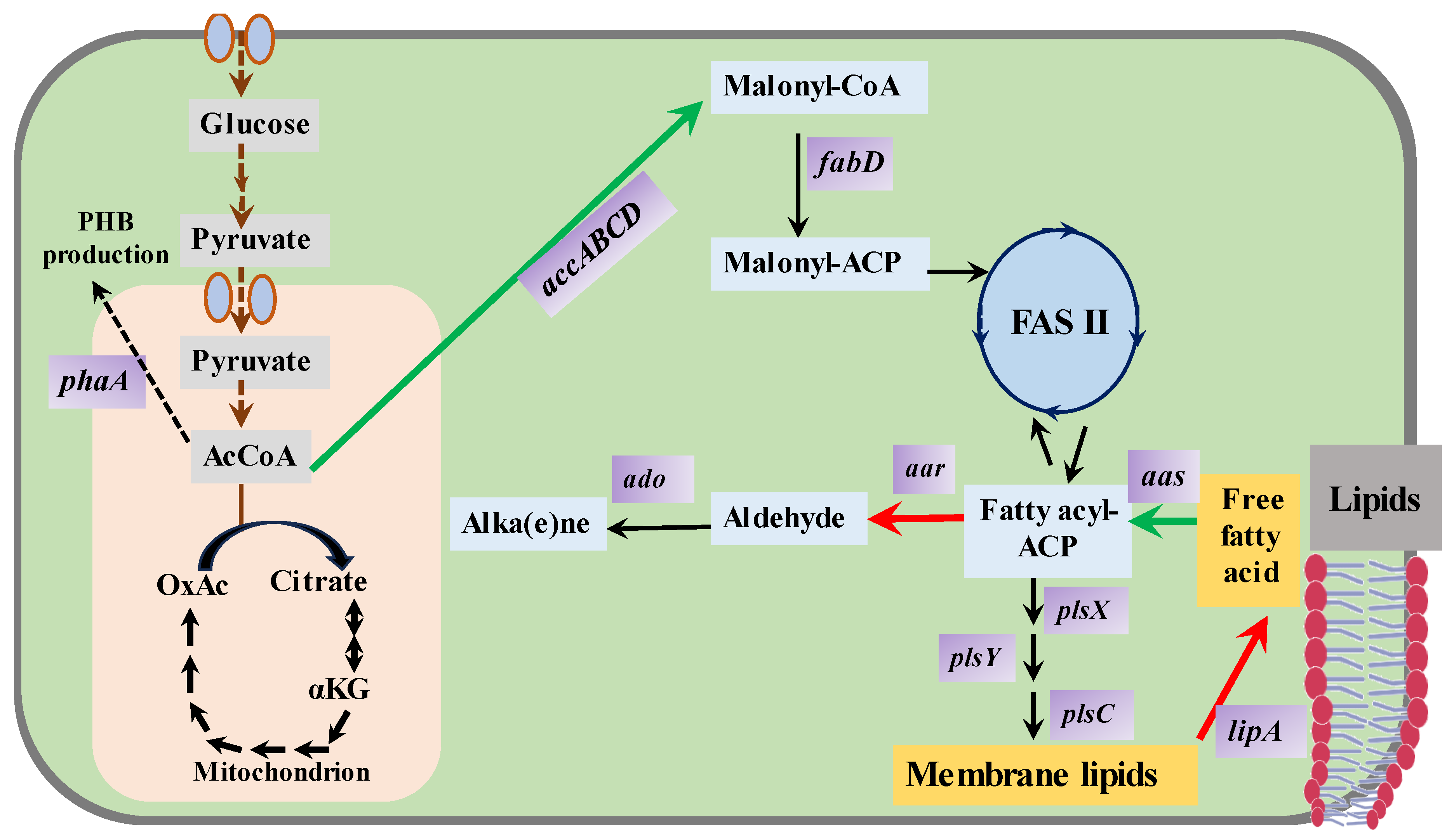 Energies 17 00408 g003