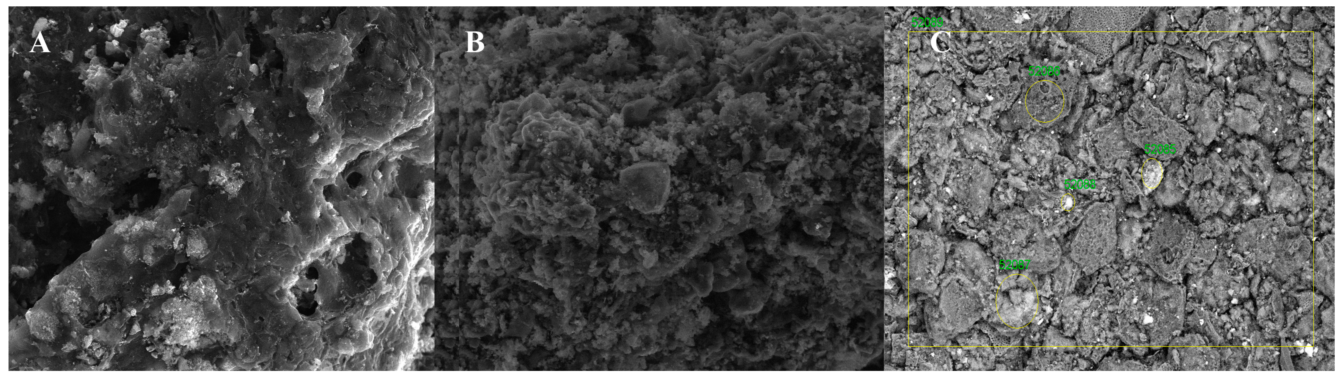 Energies 17 00498 g001