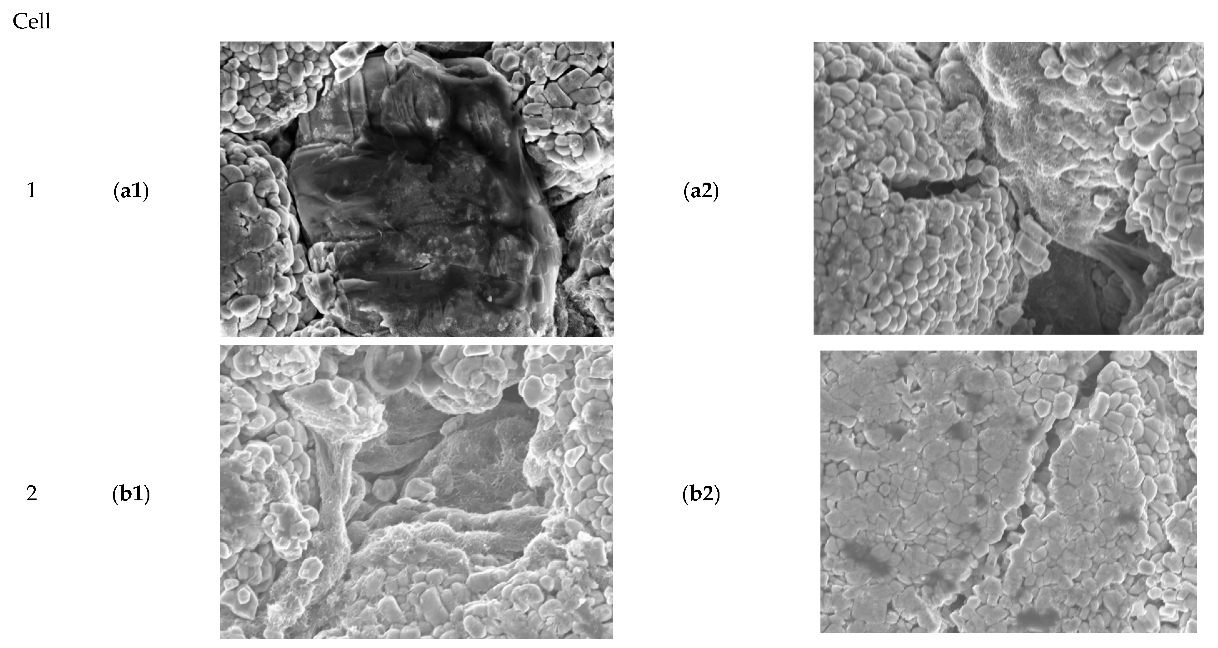 Energies 17 00501 g0a1a