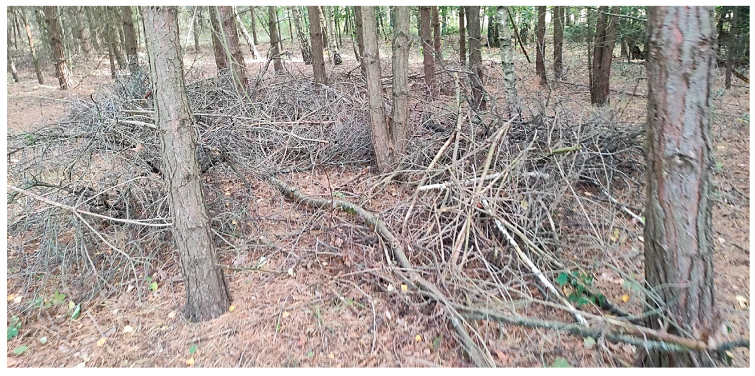 Energies 17 00843 g001 Energies 17 00843 g001