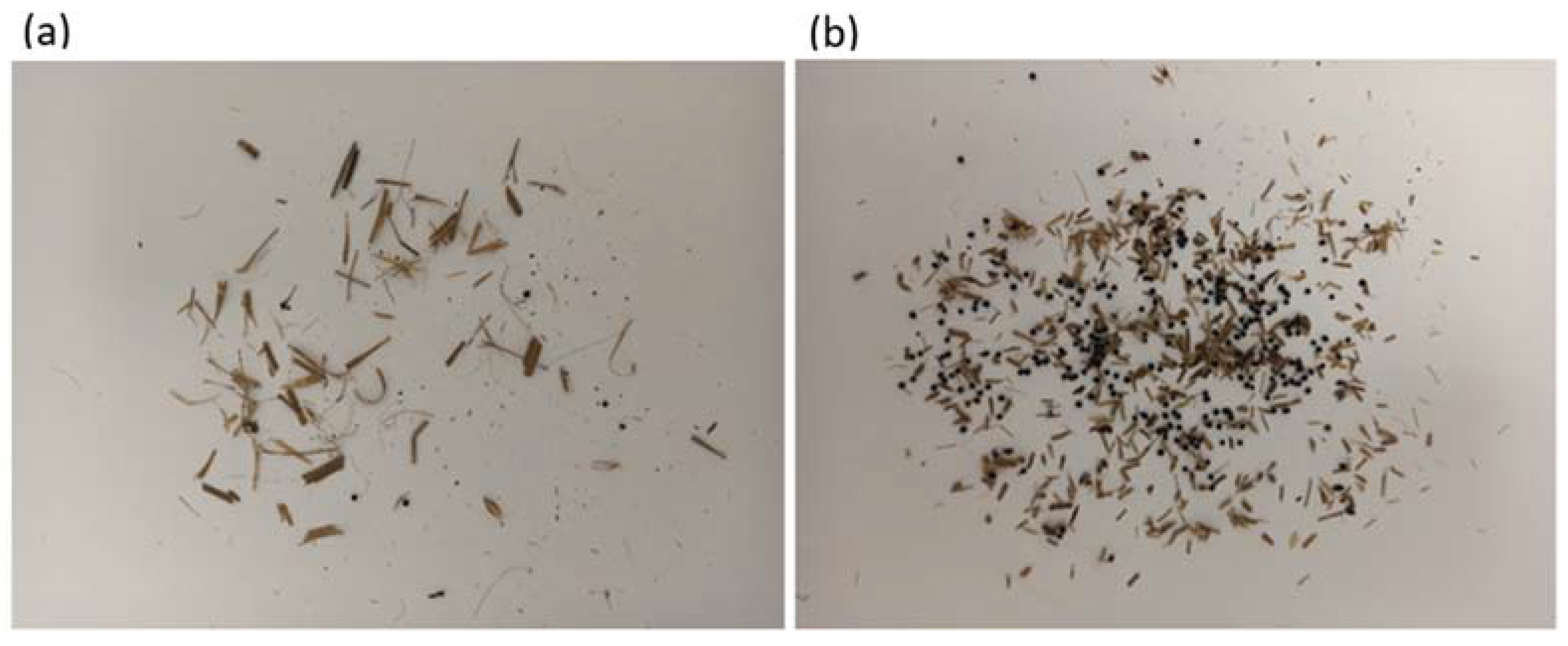 Energies 17 00965 g010 Energies 17 00965 g010