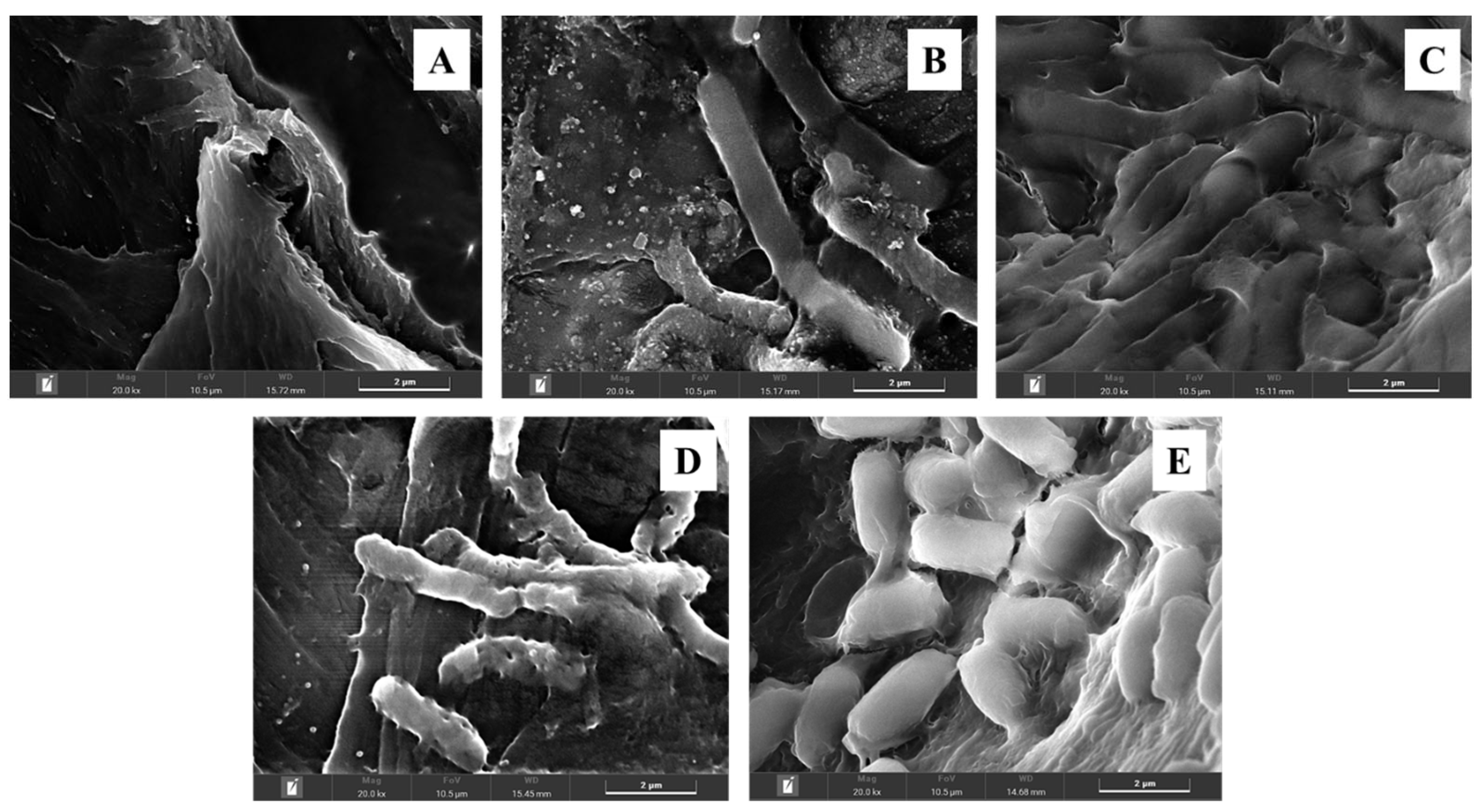 Energies 17 01009 g004