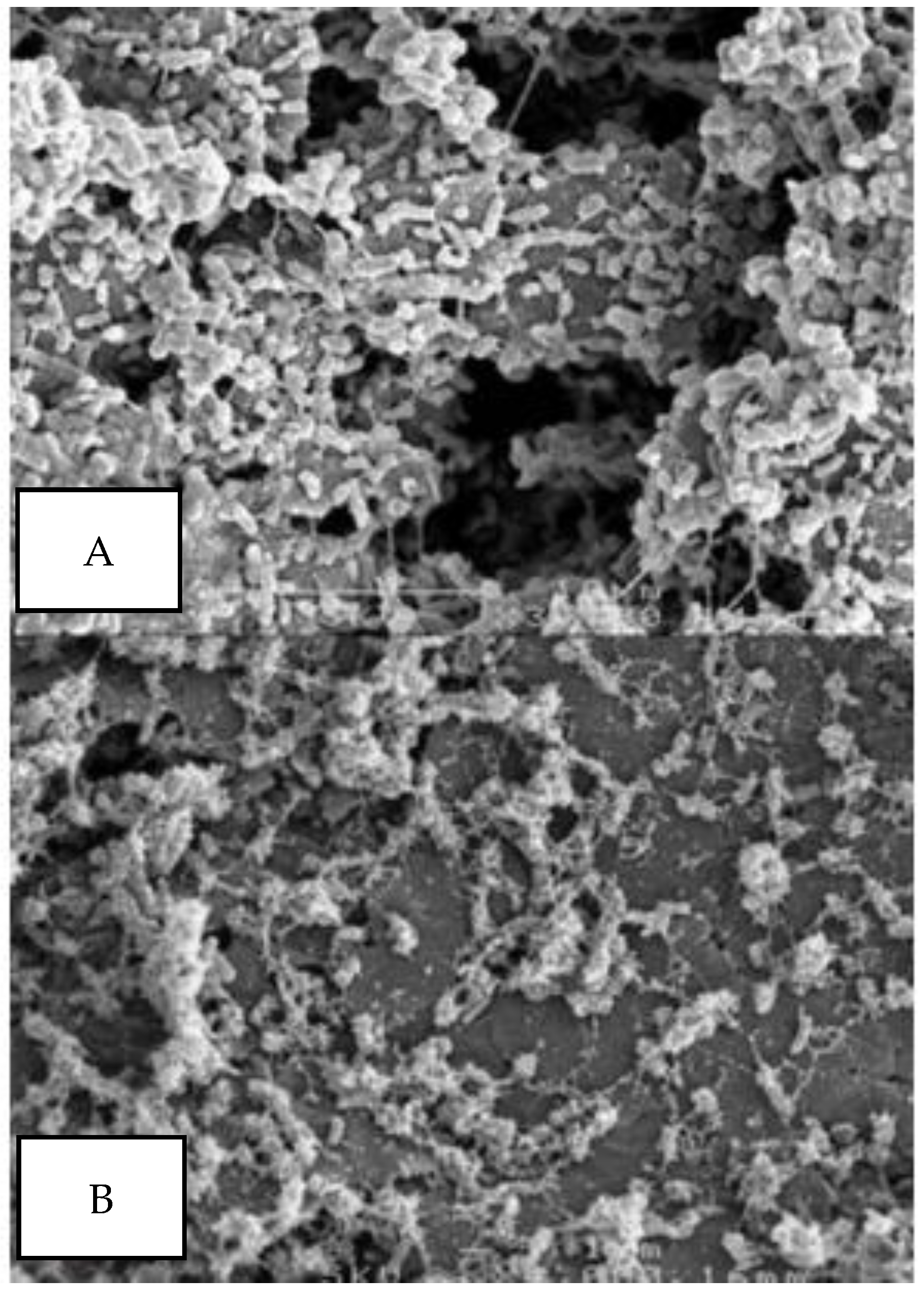 Energies 17 01472 g007