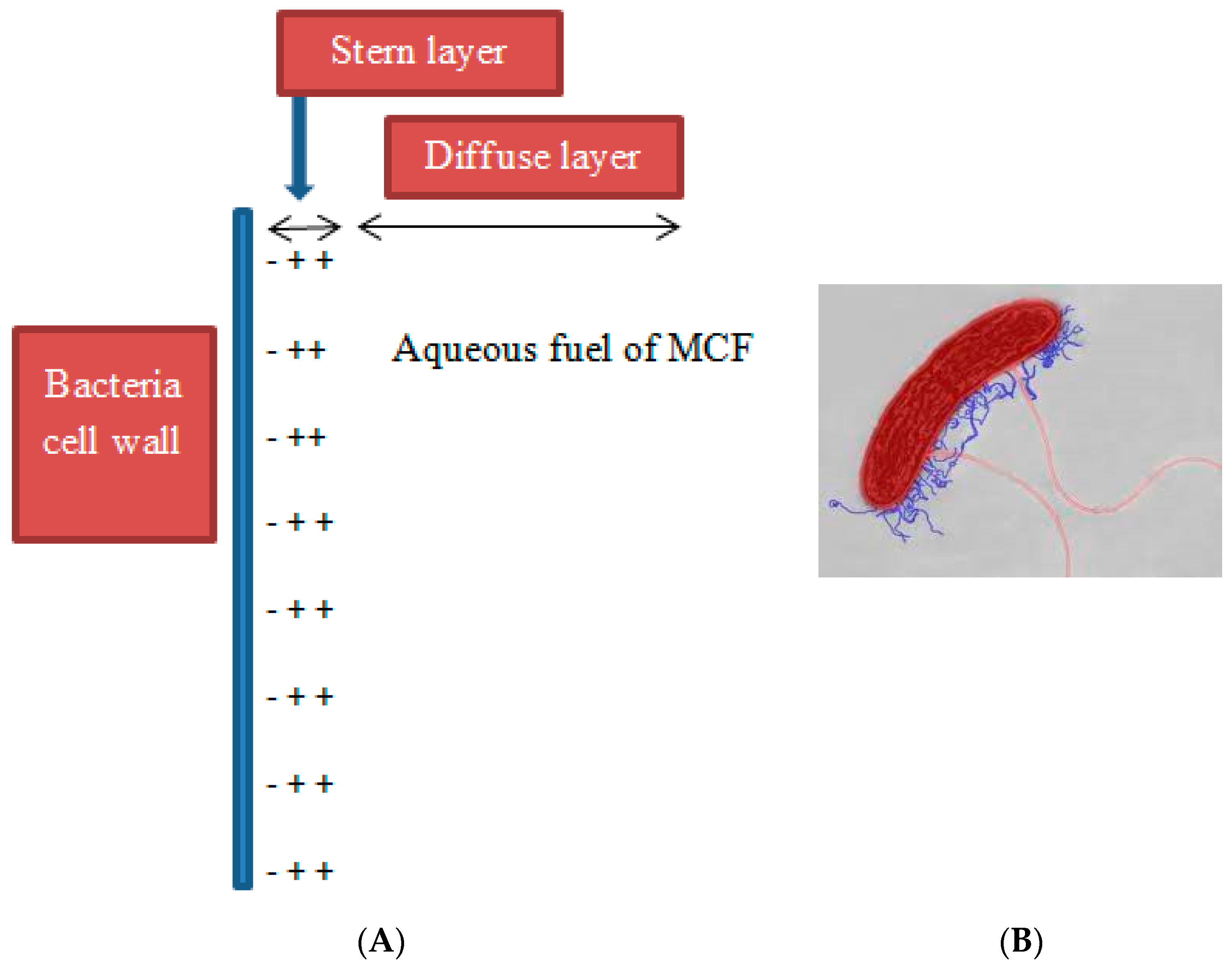 Energies 17 01472 g012