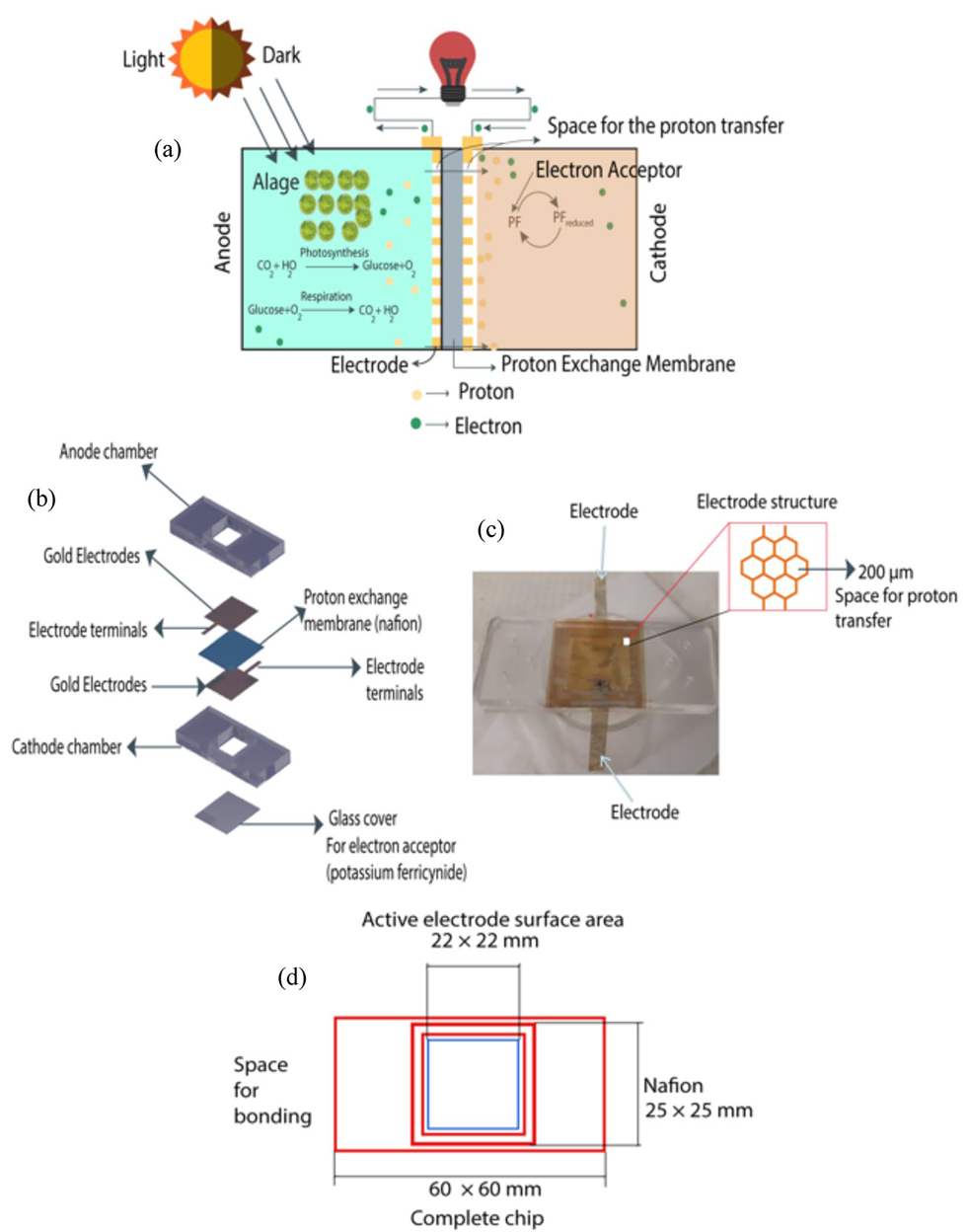Energies 17 01749 g001