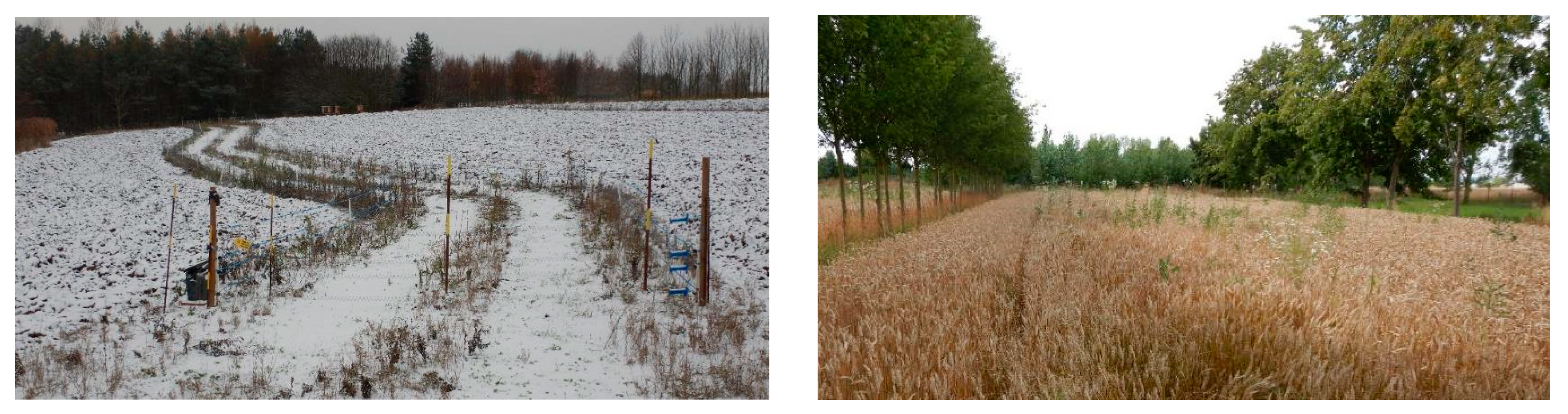 Energies 17 01779 g003