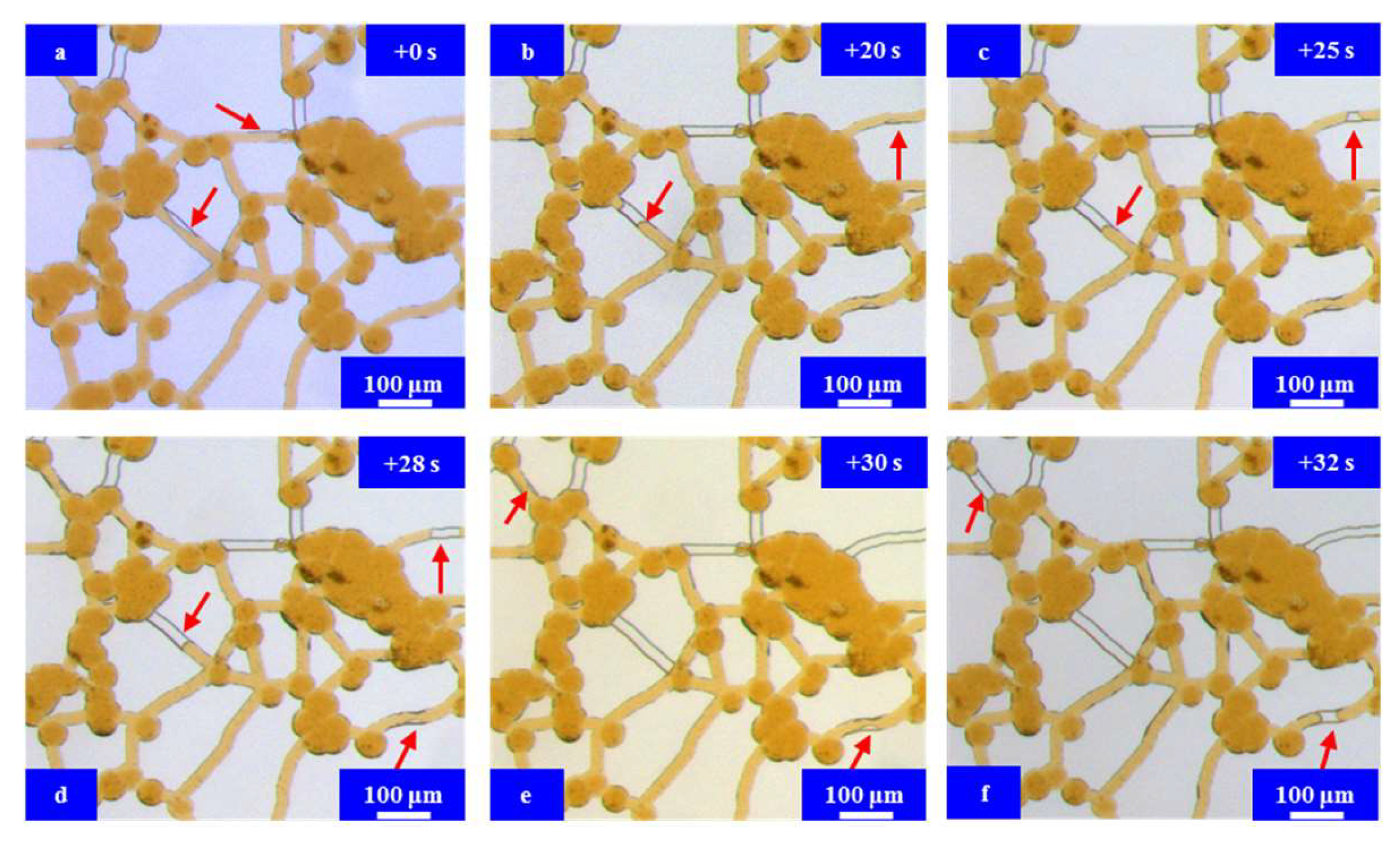 Energies 17 01879 g009