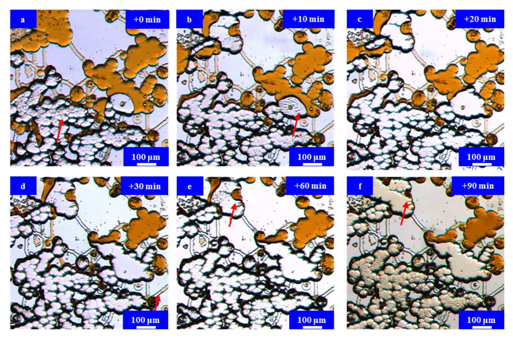 Energies 17 01879 g010