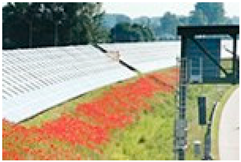 Energies 17 02141 i006