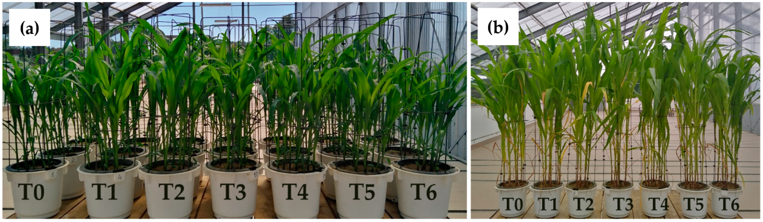 Energies 17 02783 g002