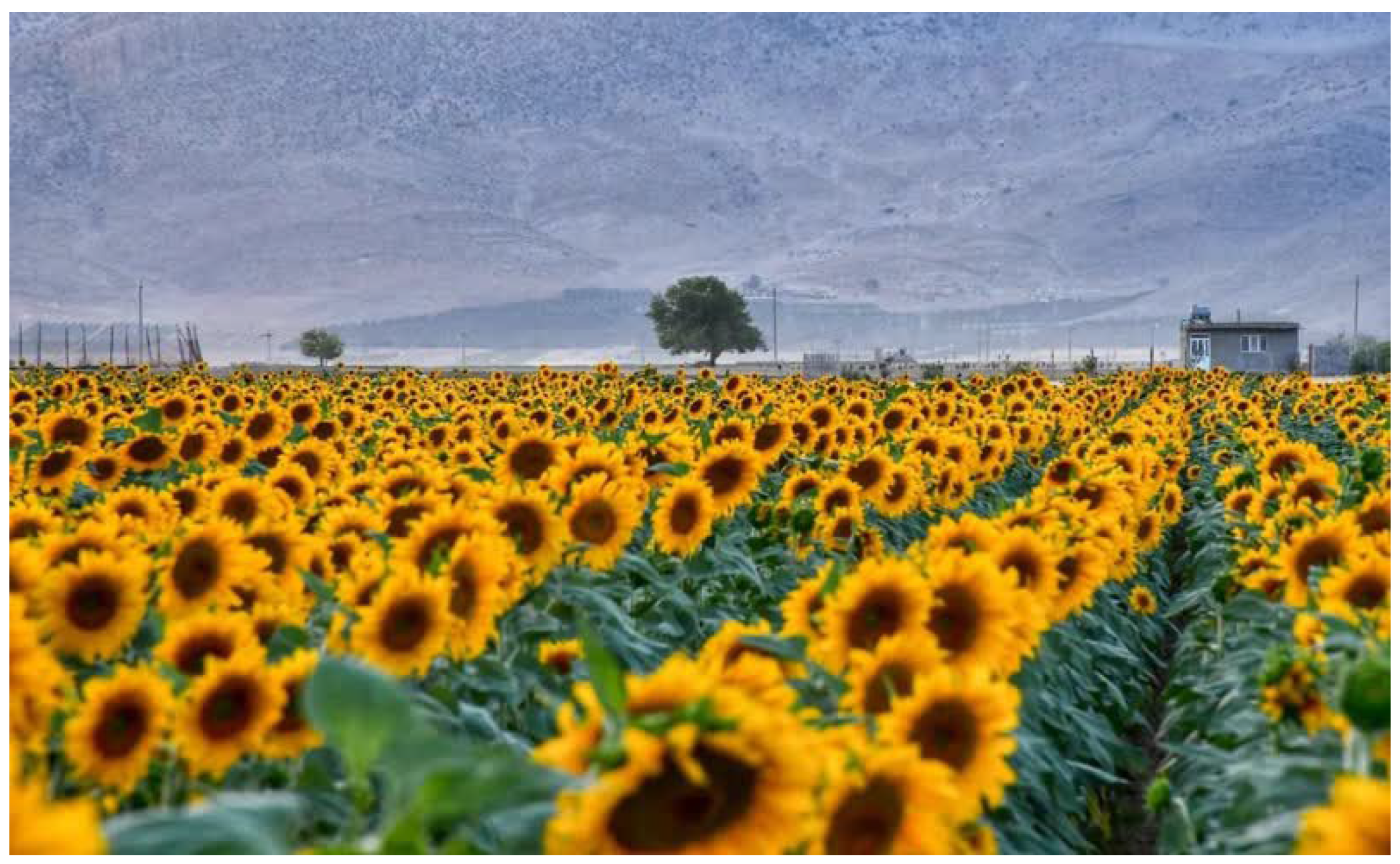 Energies 17 02795 g002