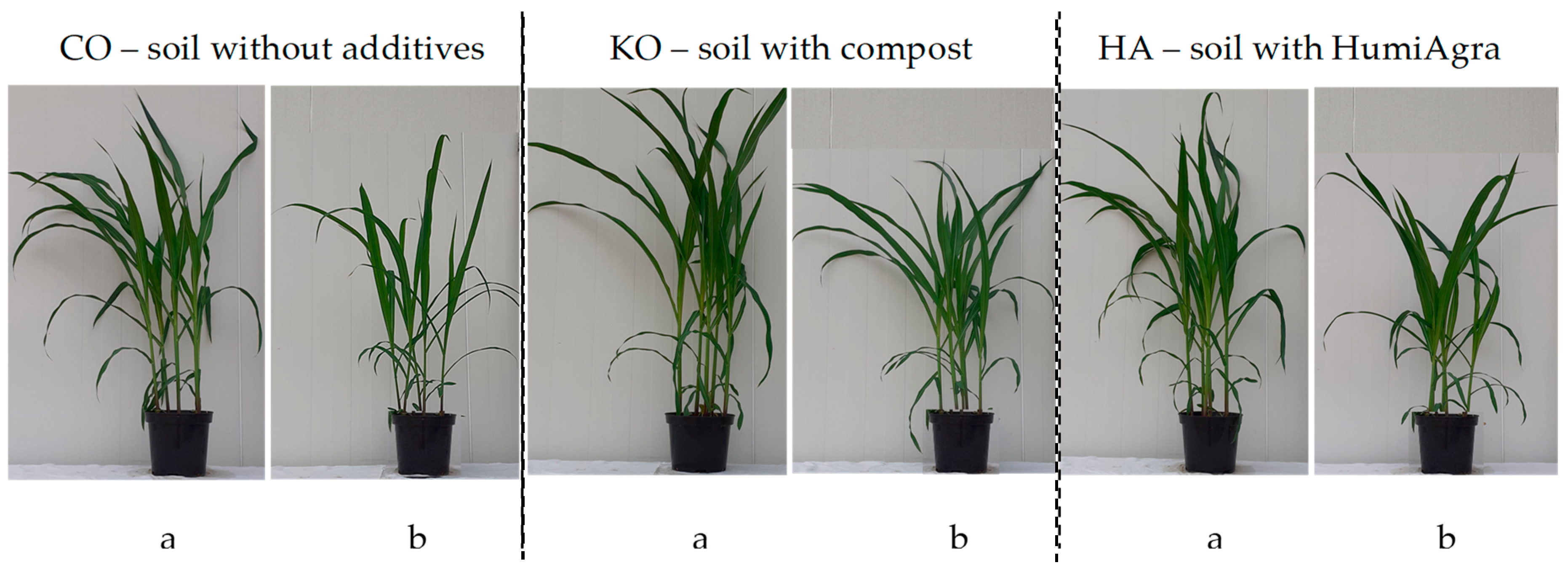 Energies 17 03031 g007