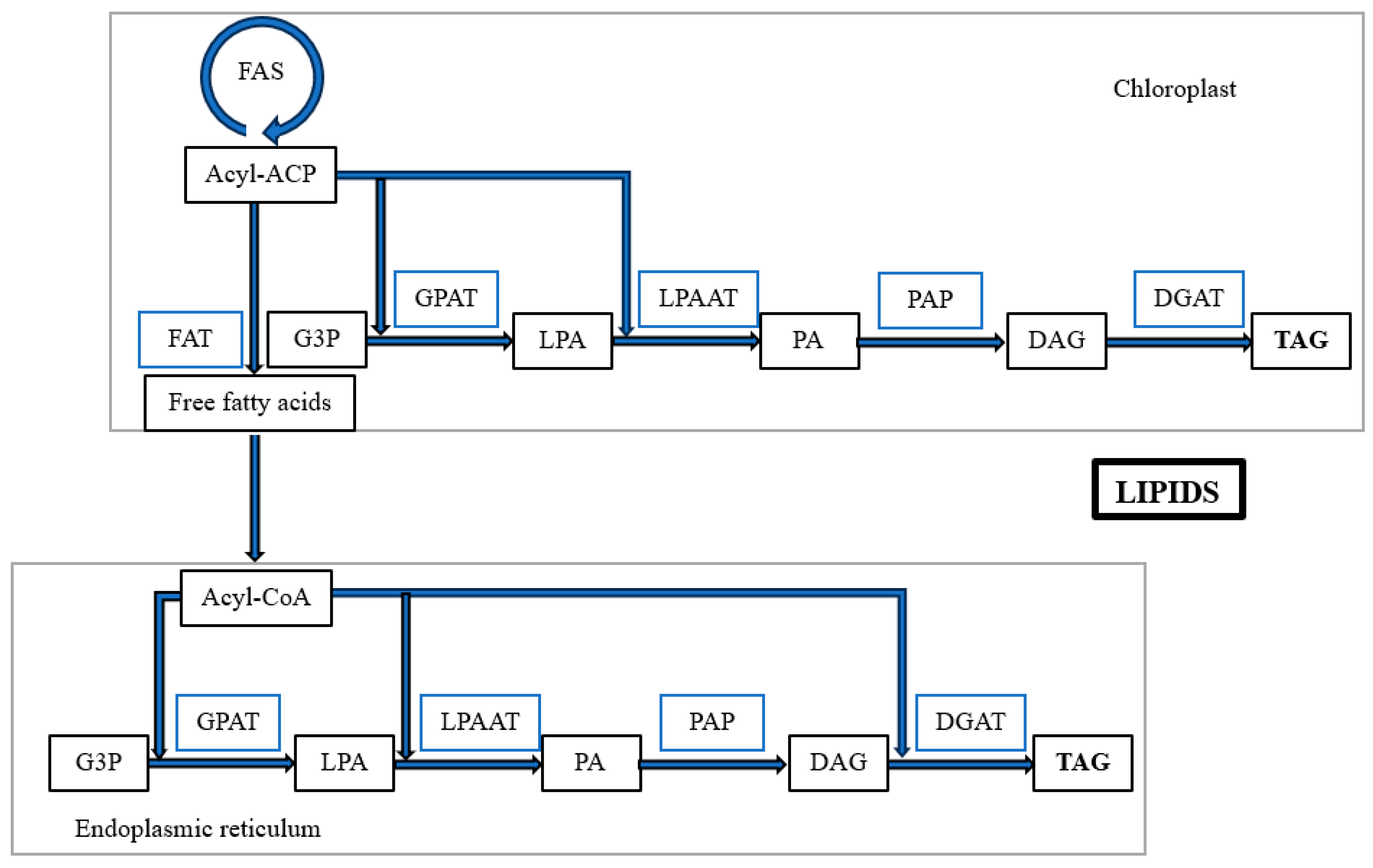 Energies 17 03035 g008