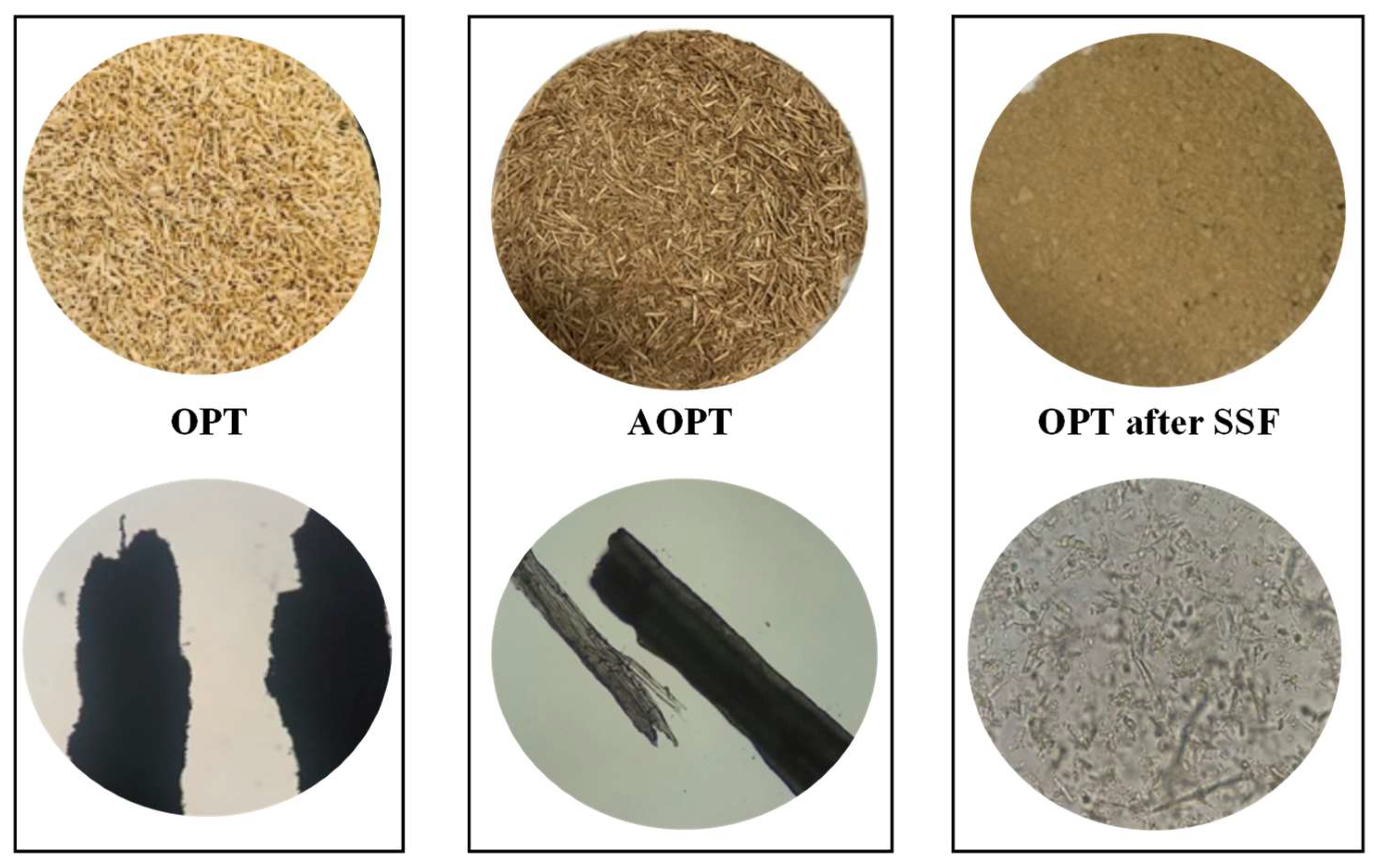 Energies 17 03217 g007