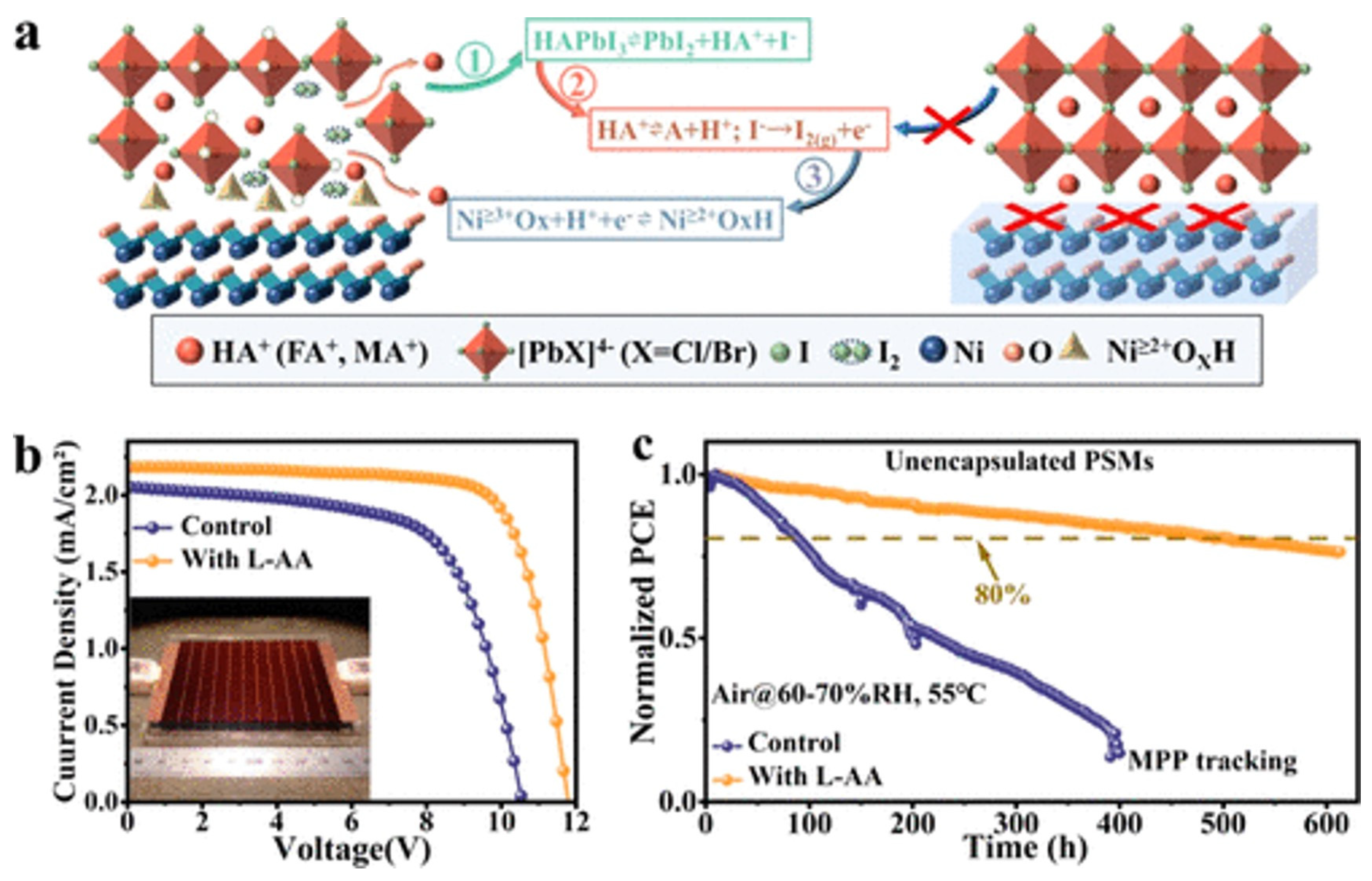 Energies 17 03896 g025