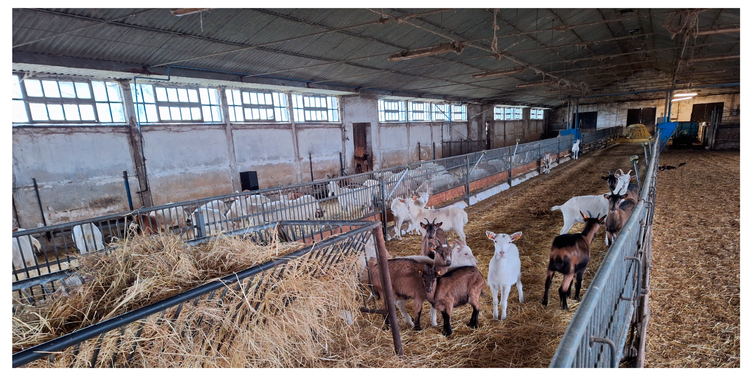 Energies 17 03967 g001